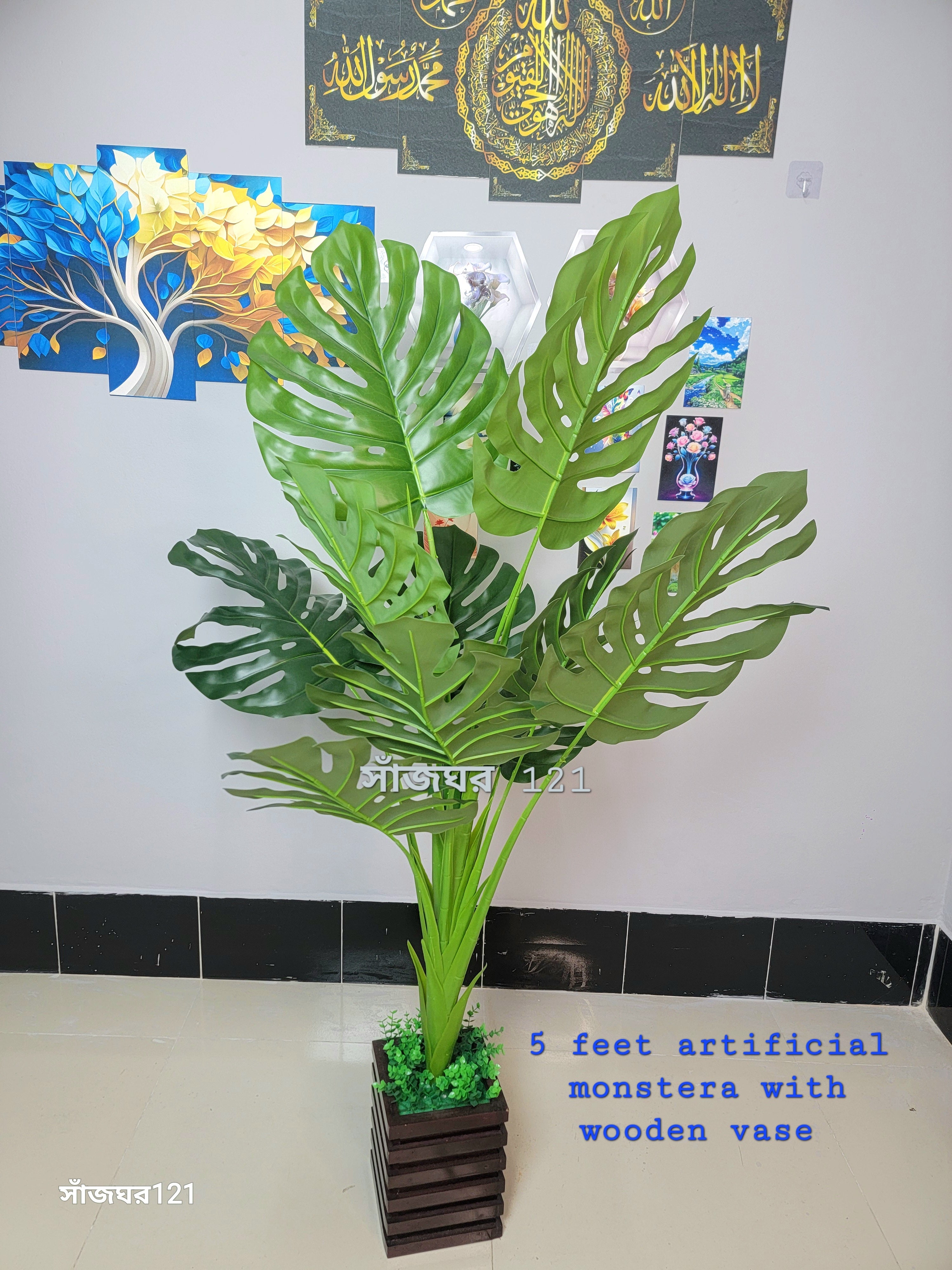 Medium size plants budget friendly