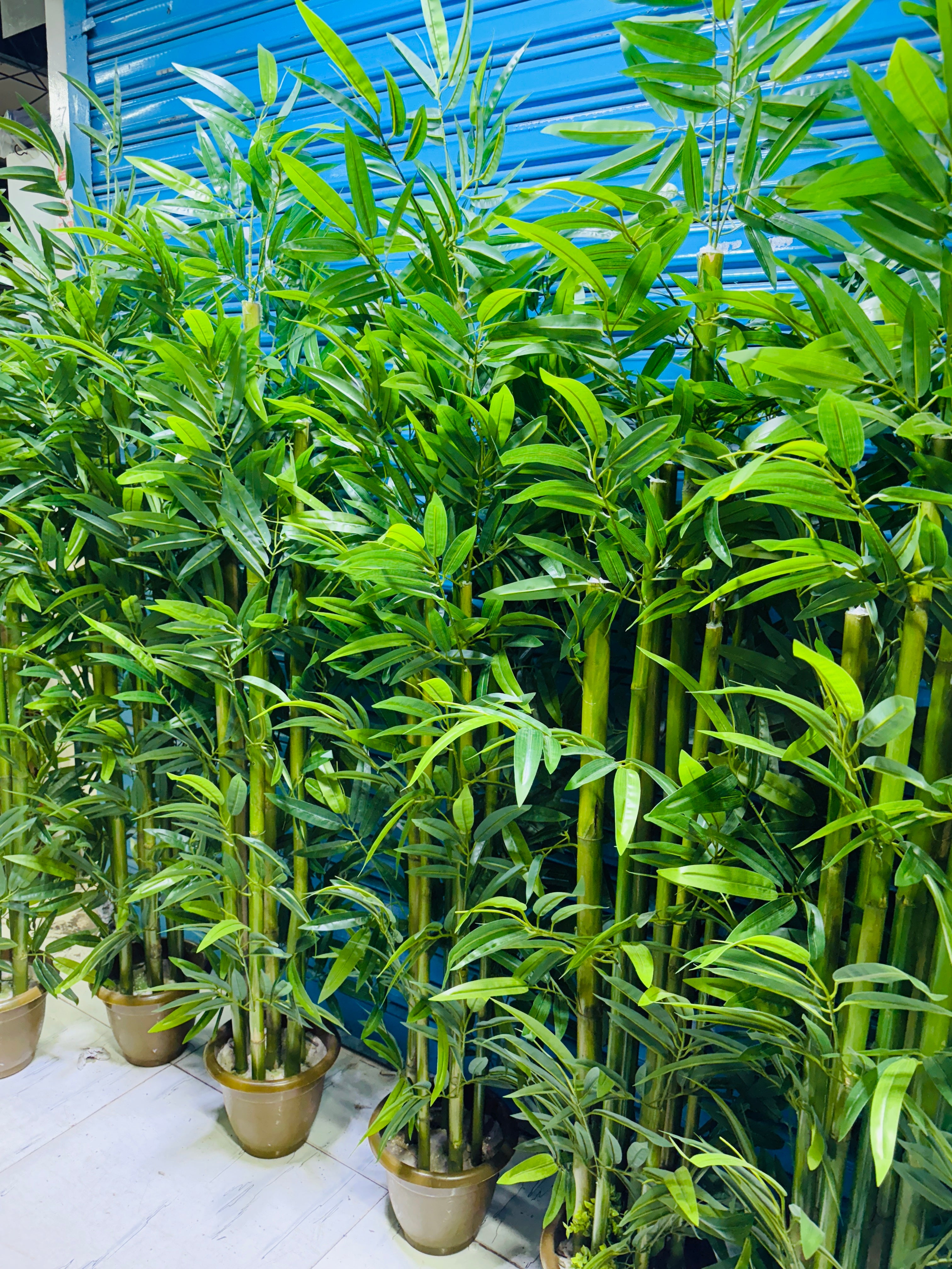 Chinese imported artificial rubber leaves bamboo tree 6 Feet+
