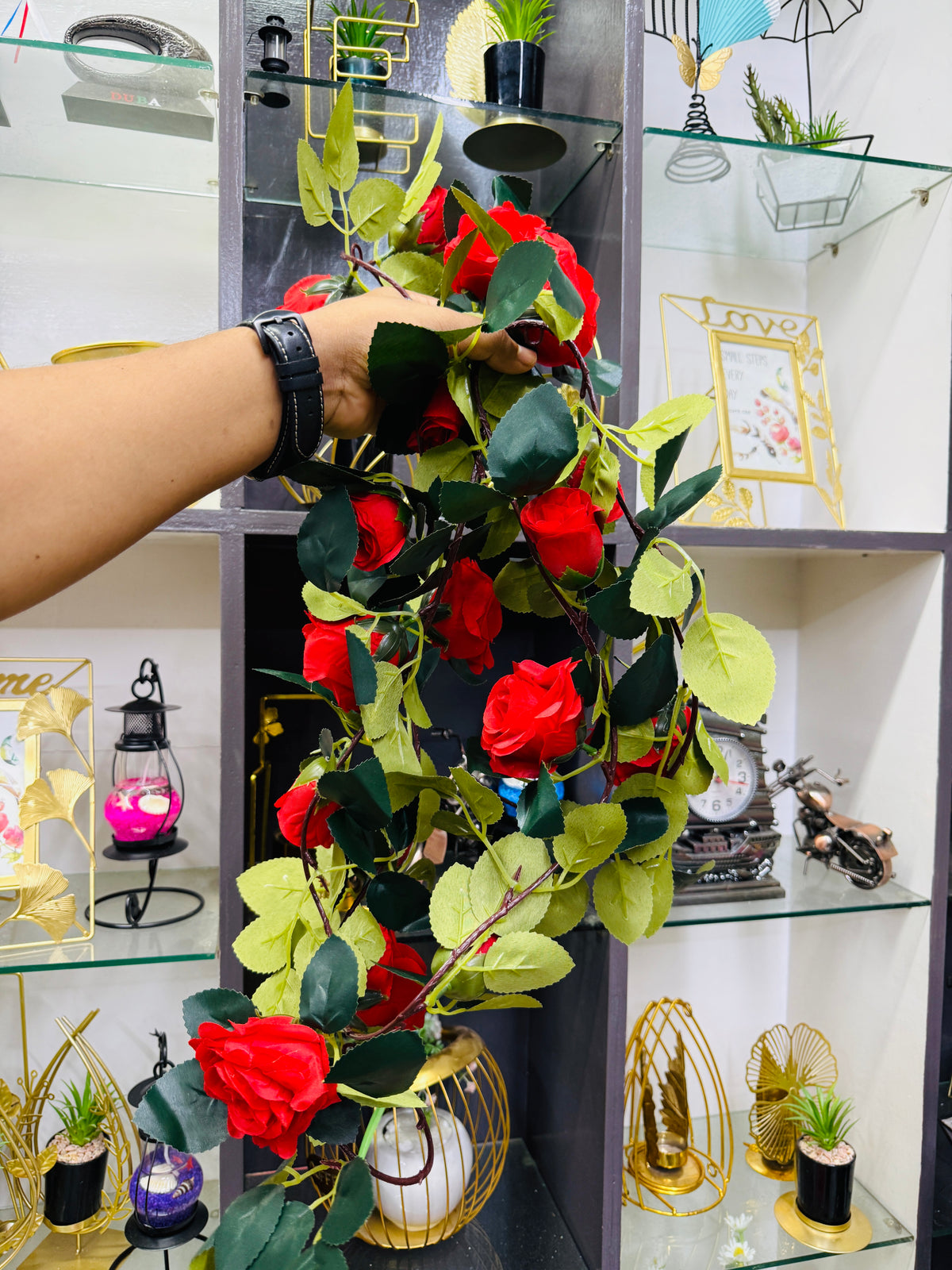 Rose vine 6 feet+