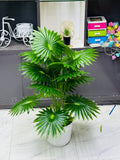 18 Stick tal tree 30 inchi long