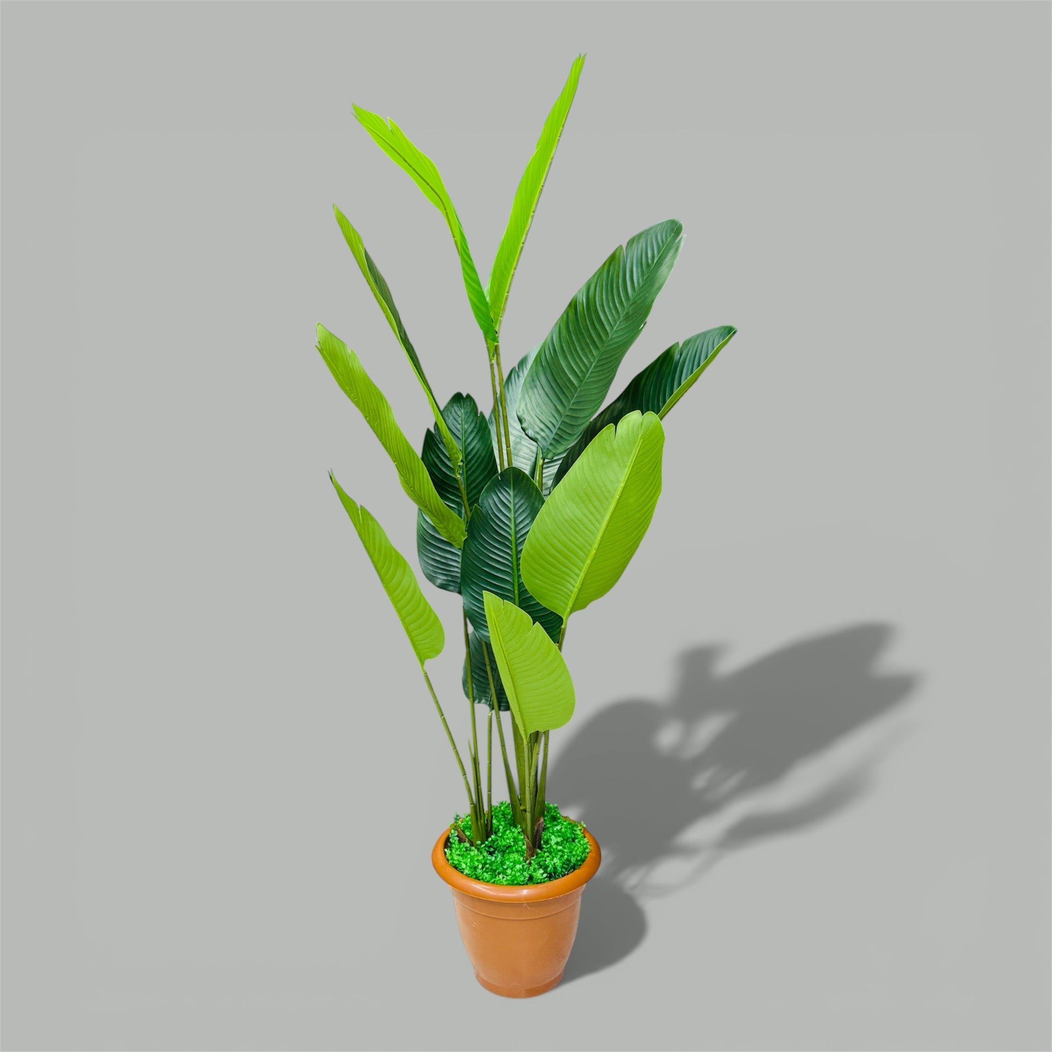 Premium quality chinese imported artificial Big Bird's of paradis