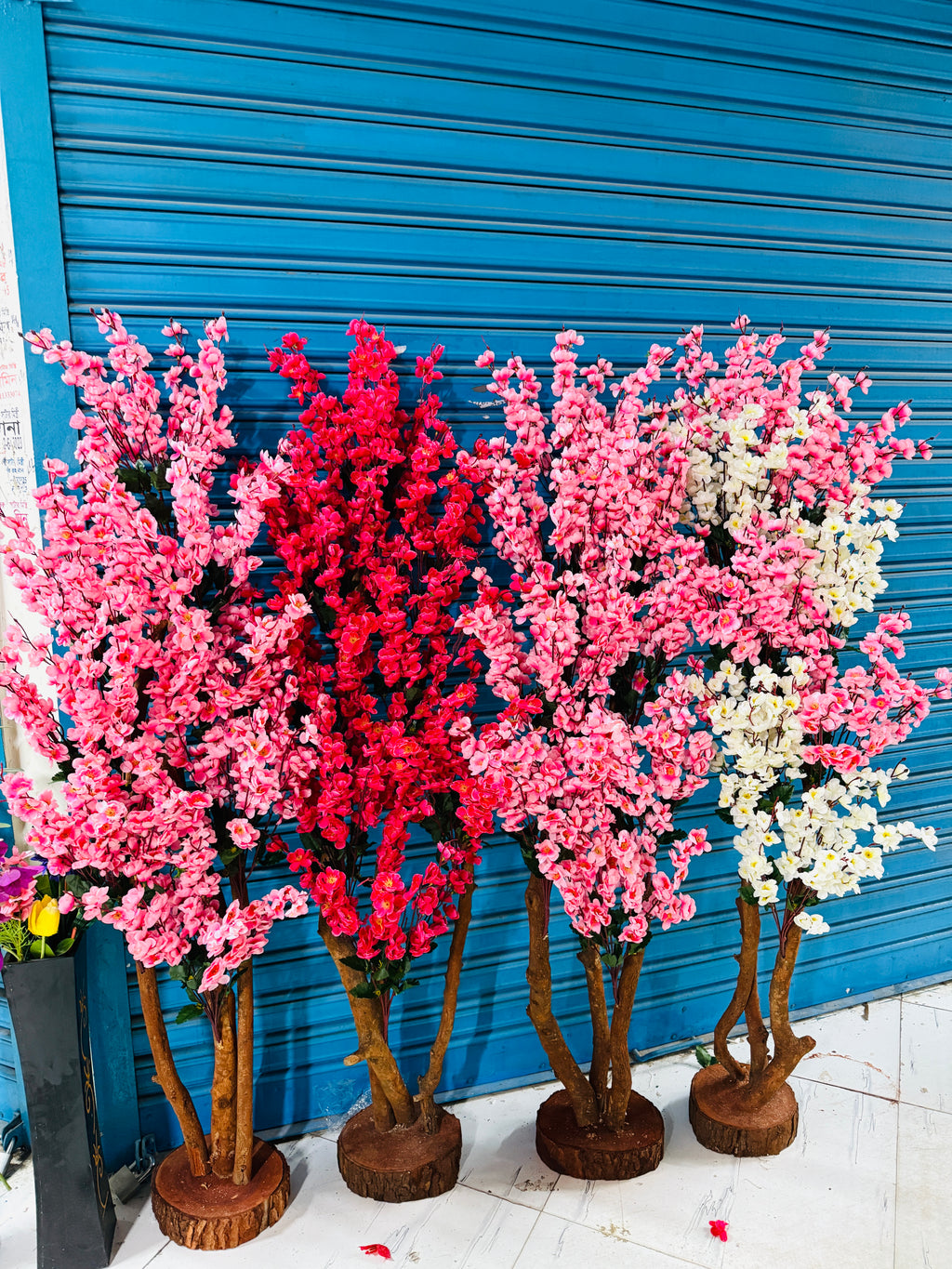 cherrry tree