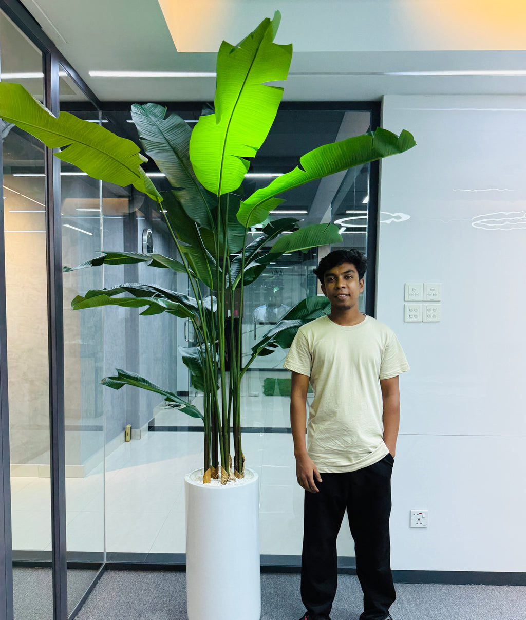 17 leavs chinese imported bird's of paradise with luxurious planter and stone 8 feet+