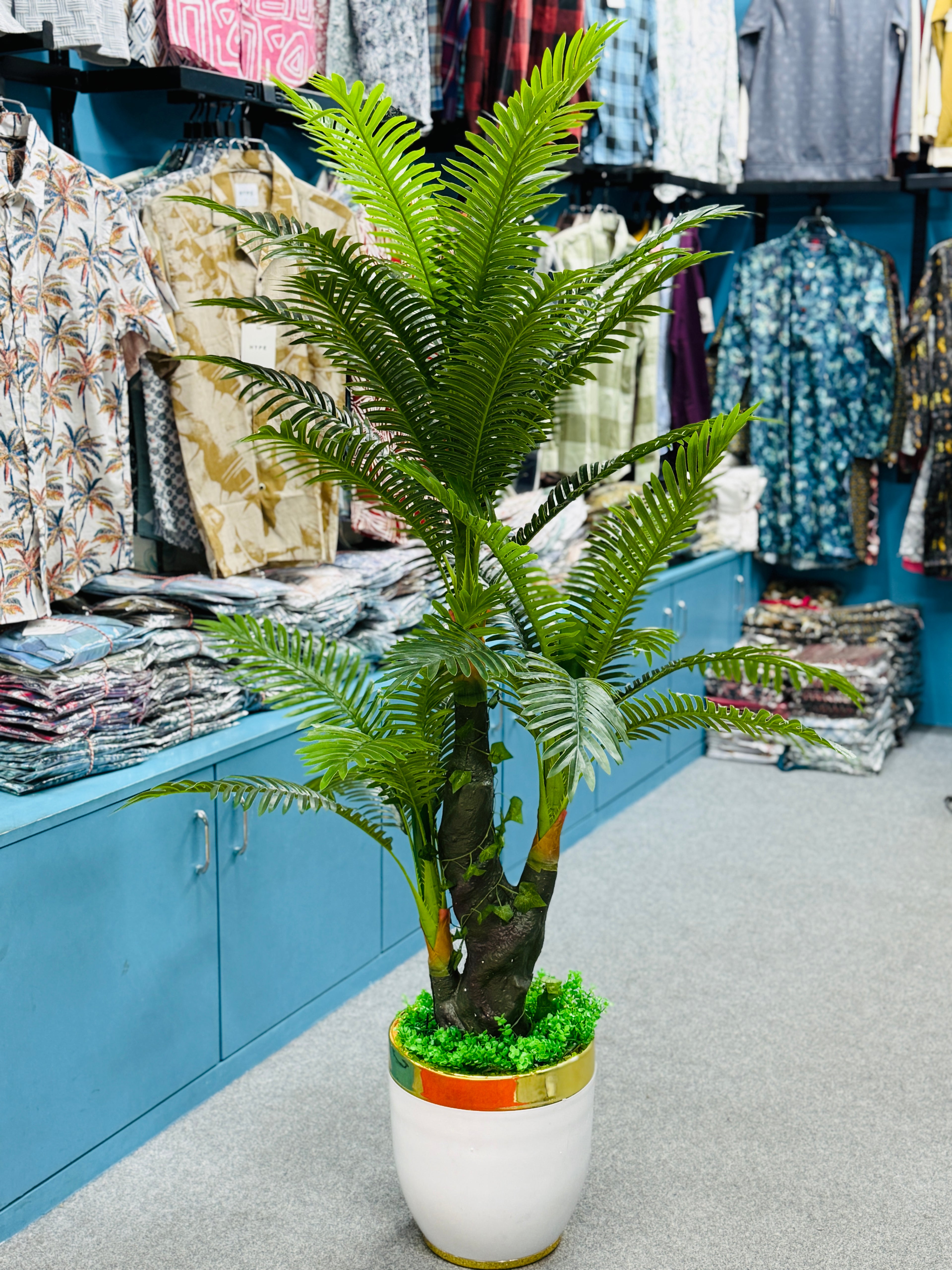 Premium Quality chinese imported Plum plants with luxurious chinese imported planter and grass.