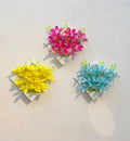 rubber orchid with wall palnter 3 pieces comboo package