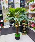 Chinese imported Tal tree with chinese planter and babui pakhir basa setup 5 feet+