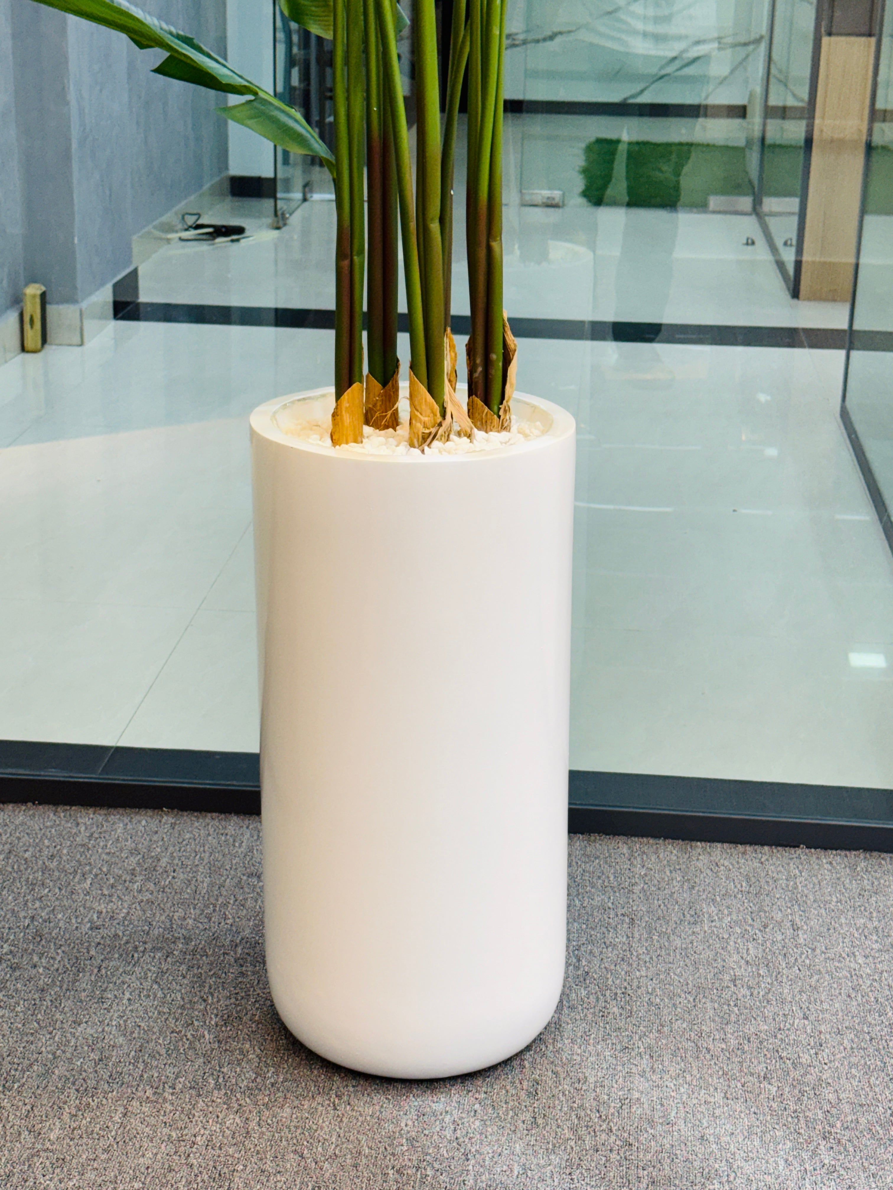 17 leavs chinese imported bird's of paradise with luxurious planter and stone 8 feet+