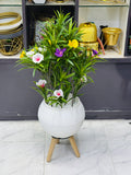 new arrival 3 legs planter woth kolmi flowers setup