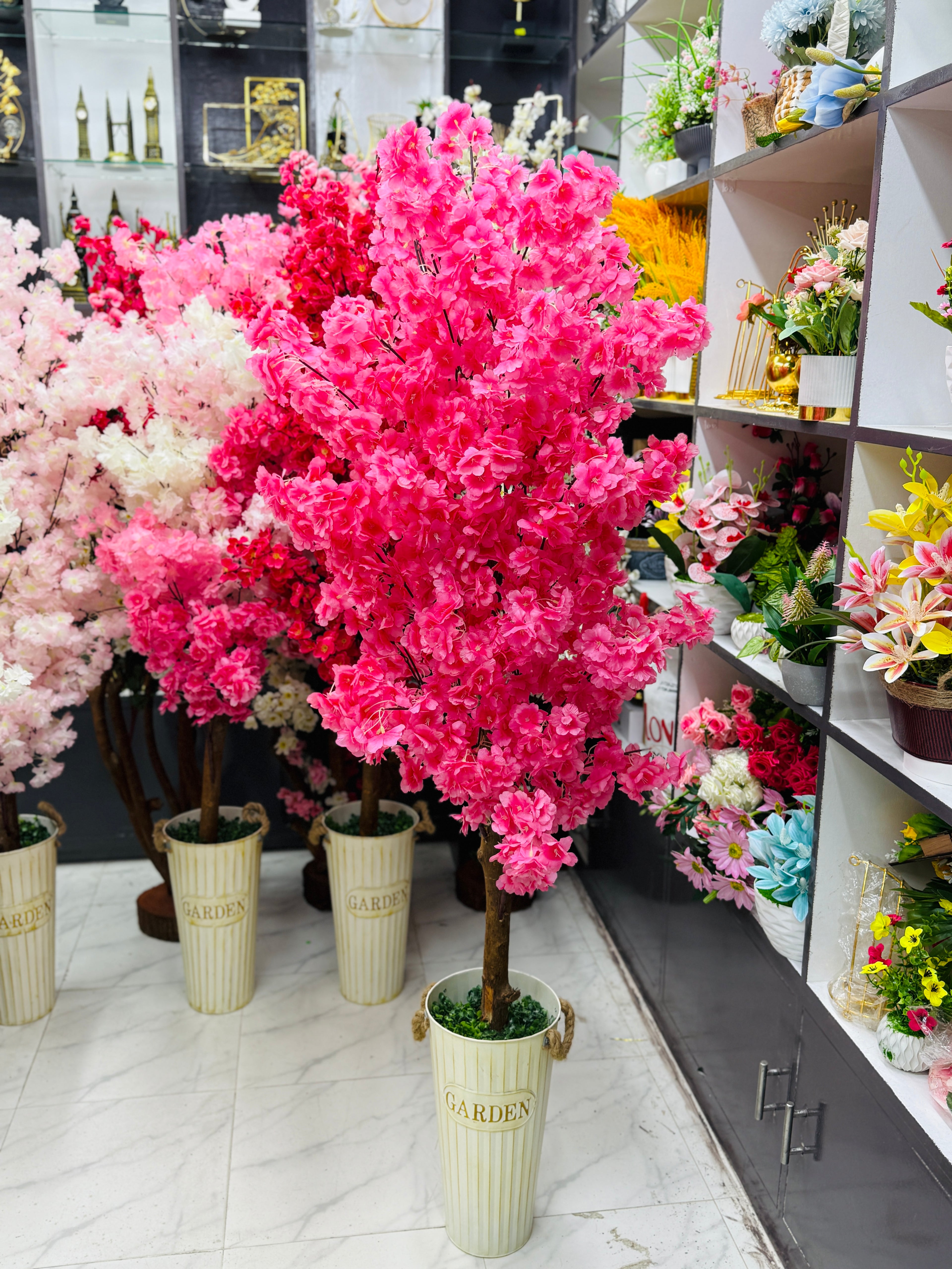 cherrry tree