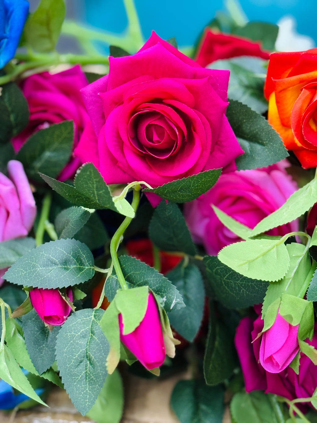 Rose vine premium quality chinese imported (10 pieces)