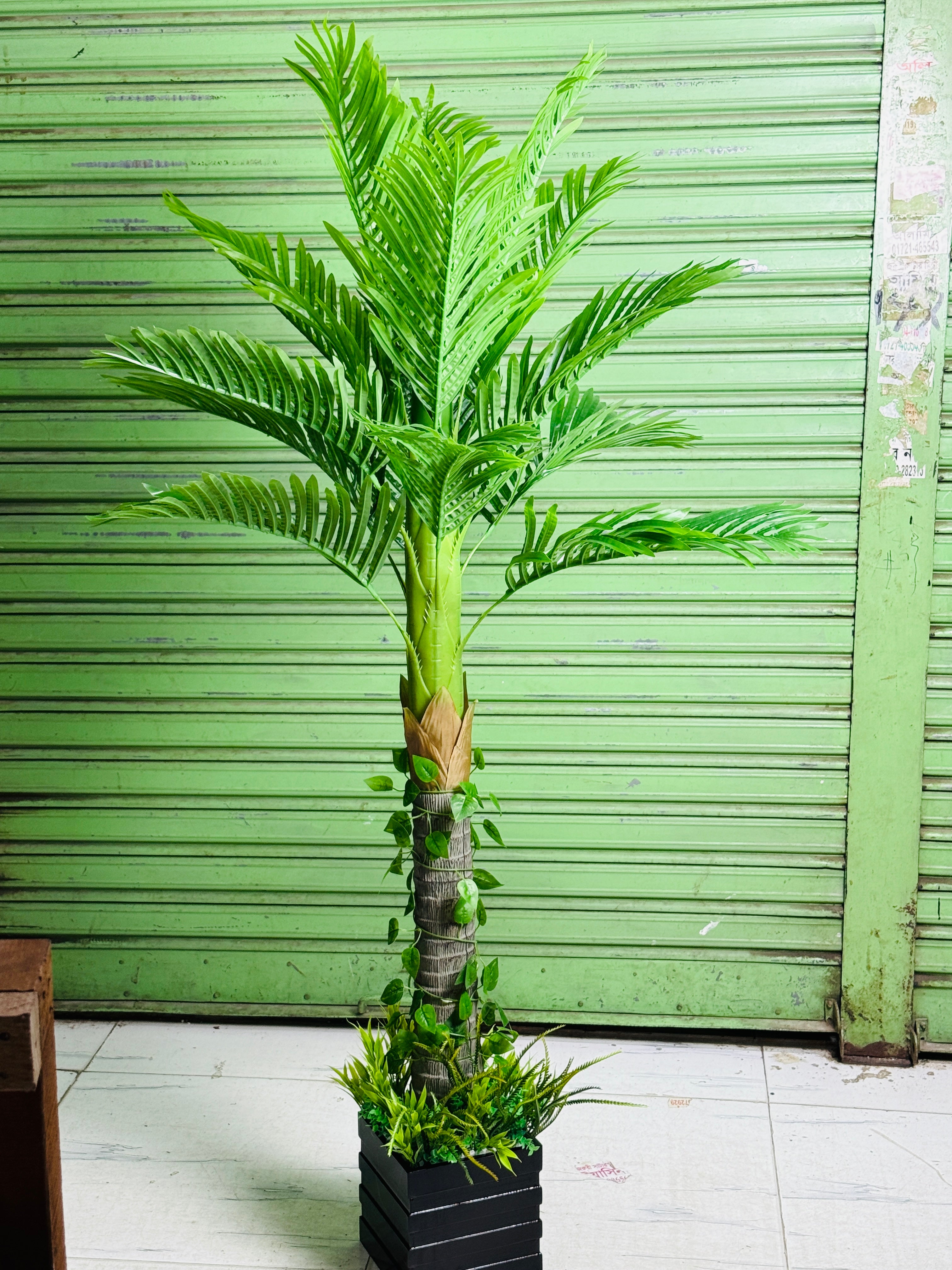 Chinese imported premium quality supari tree with wodden tob.