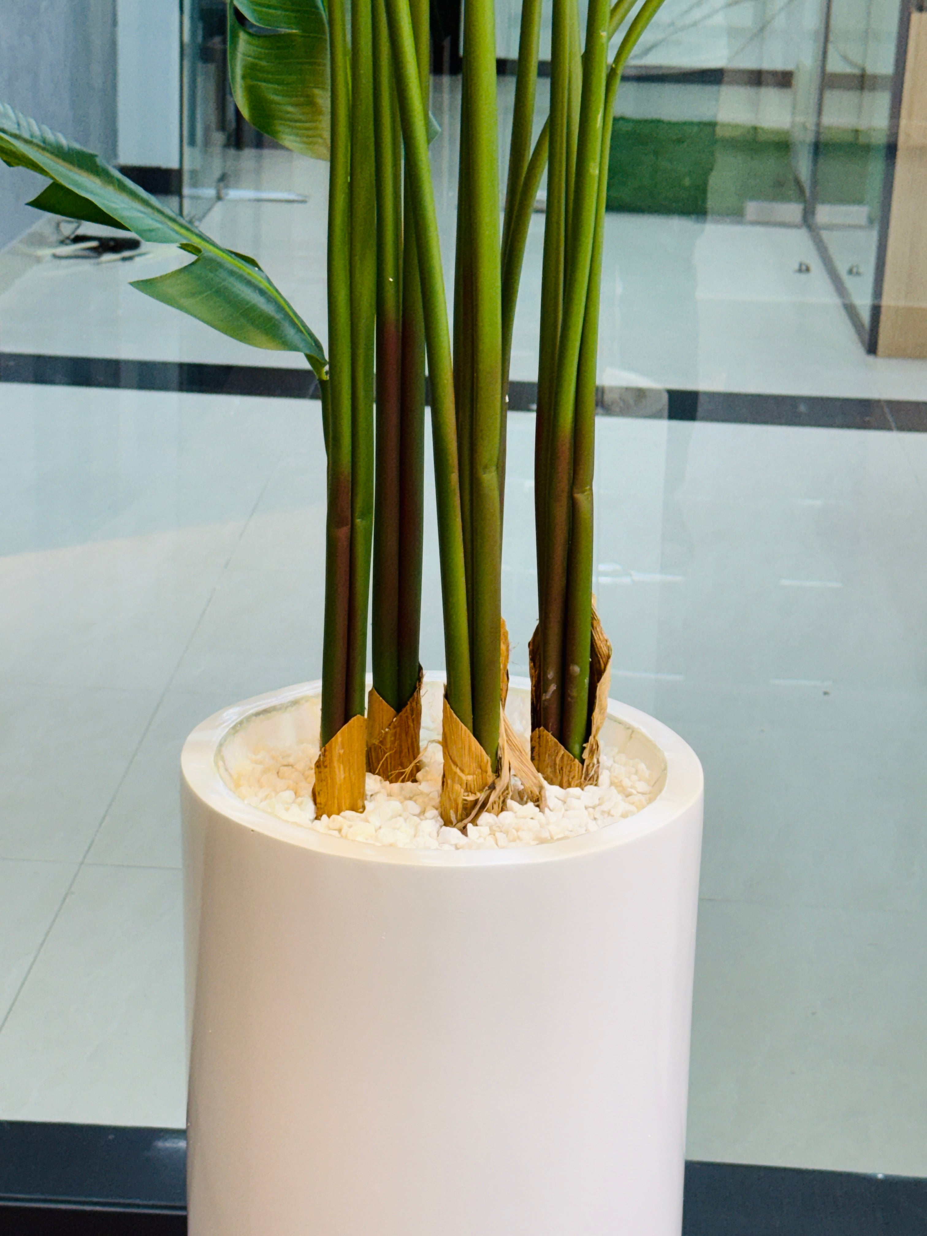 17 leavs chinese imported bird's of paradise with luxurious planter and stone 8 feet+