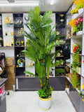 7 head bet tree 7 feet+ with luxurious planter.
