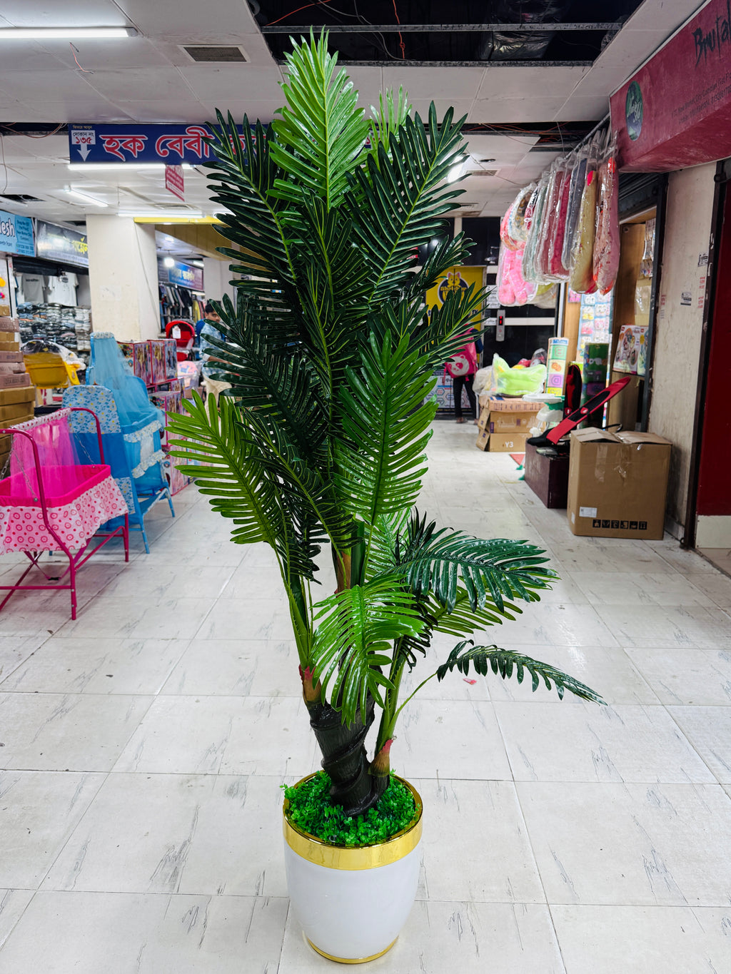 Premium Quality chinese imported Plum plants with luxurious chinese imported planter and grass.