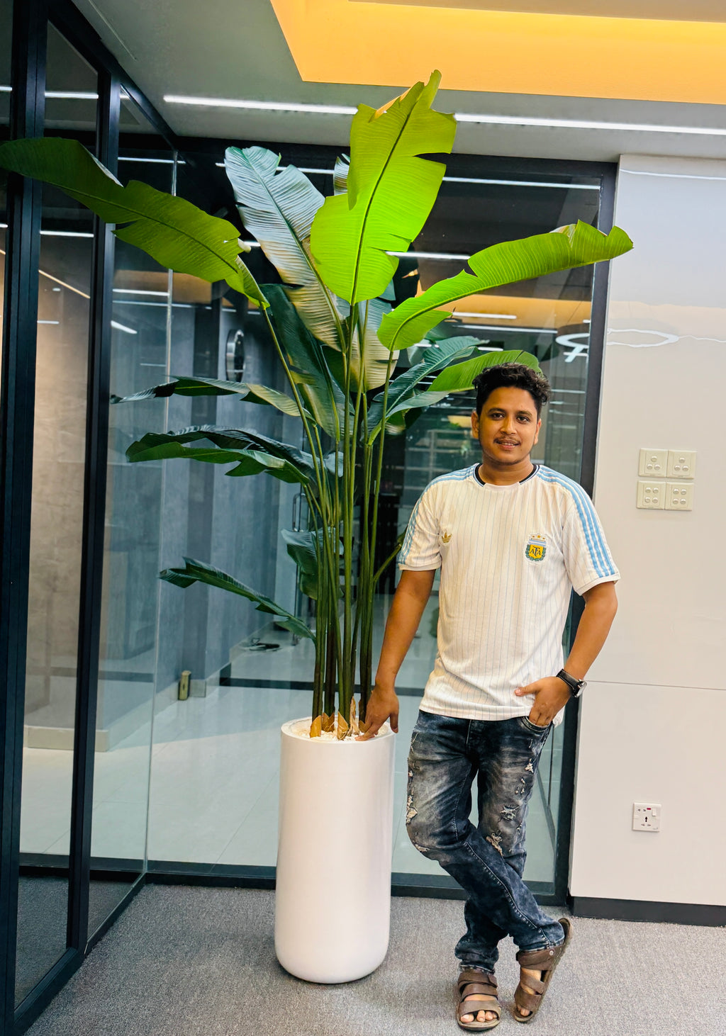 17 leavs chinese imported bird's of paradise with luxurious planter and stone 8 feet+