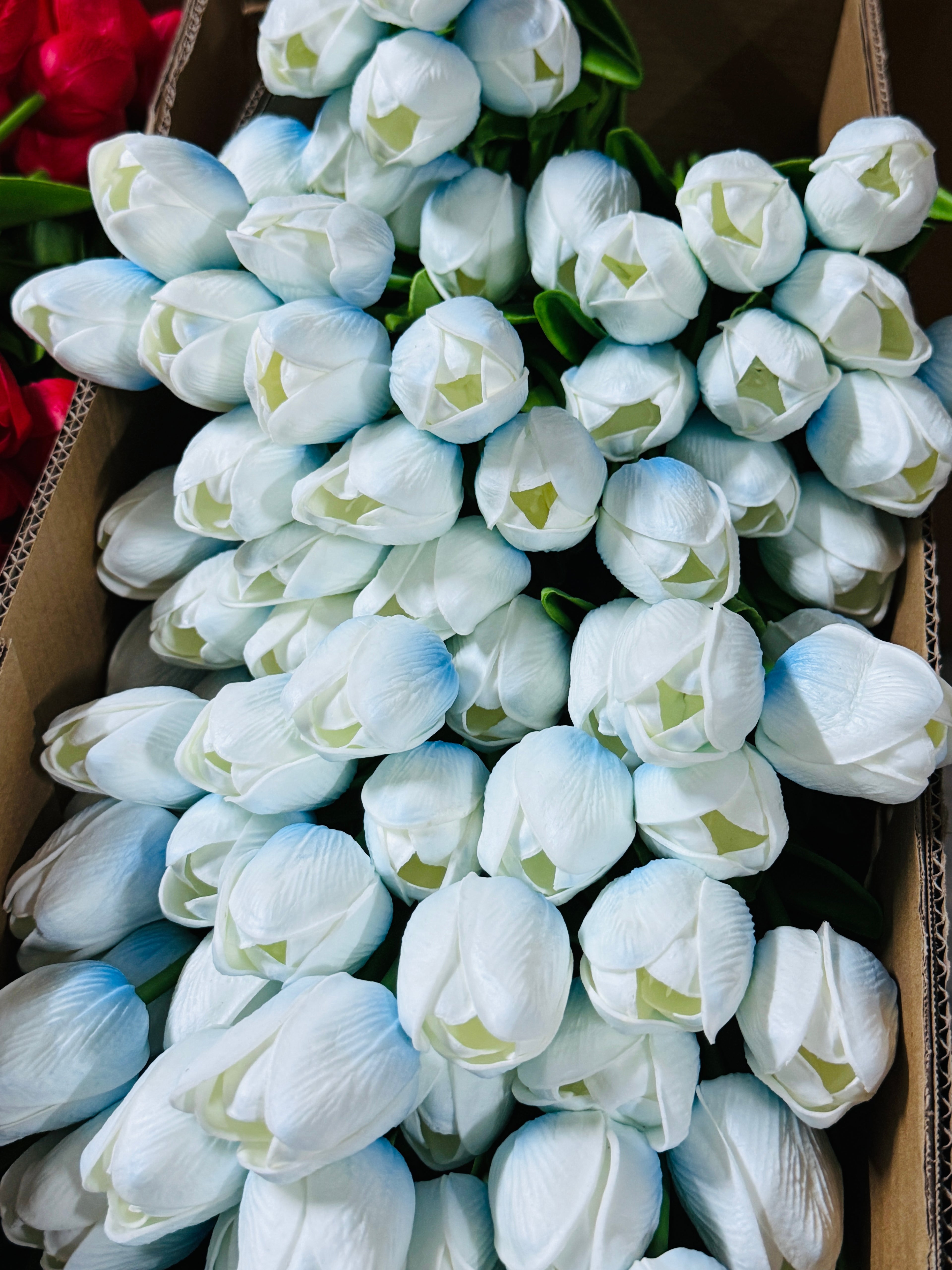 Chinese imported premium quality artificial Tulip Sticks(20 pieces )