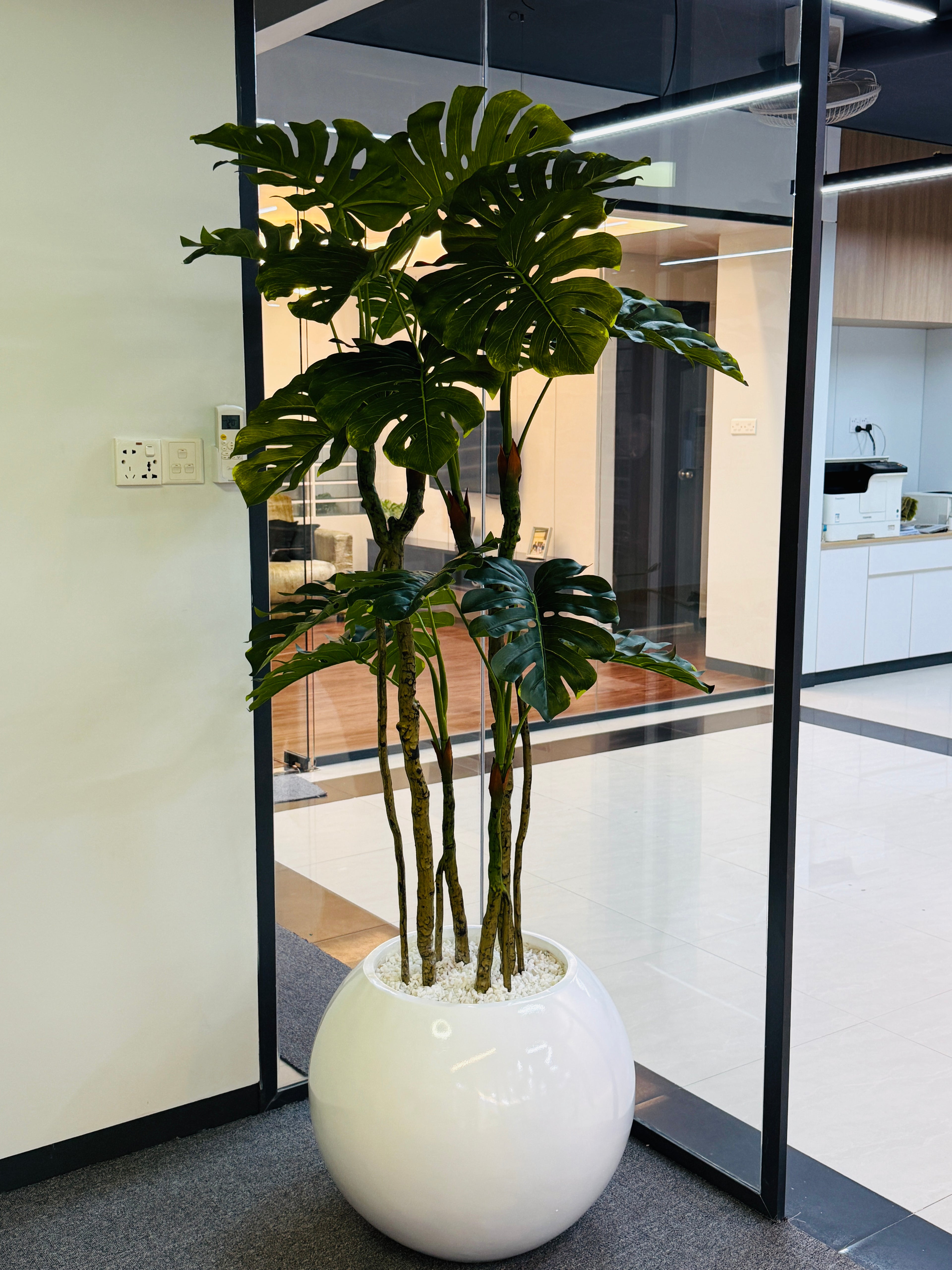 premium quality chinese imported artificial moonstera plant with lulxurious round planter and stone 6 feet+