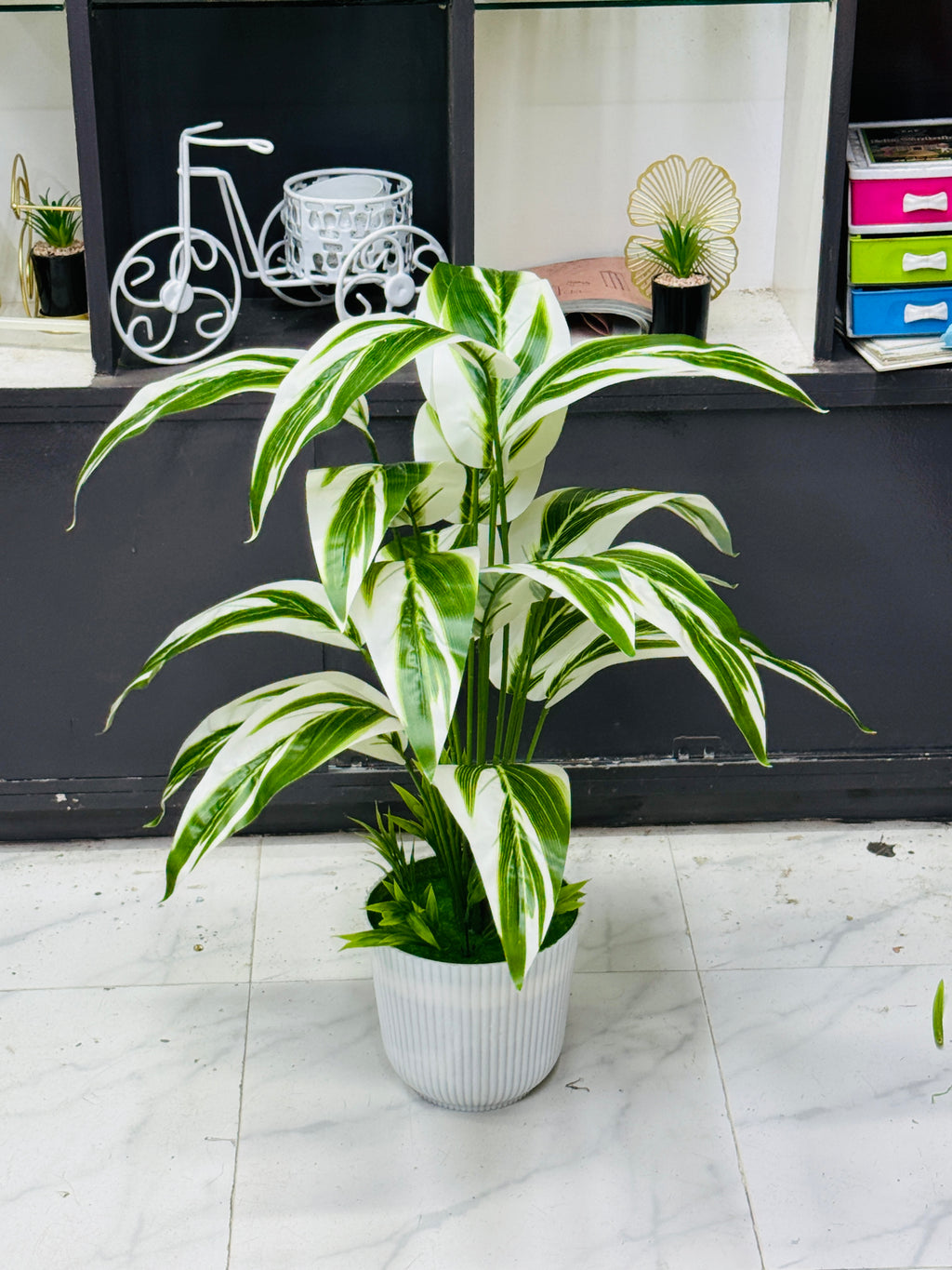 4 plants comboo packge only 2499 tk 30"+