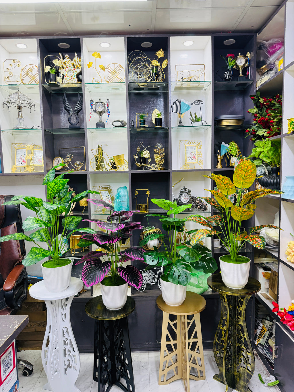 4 plants comboo packge only 2499 tk 30"+