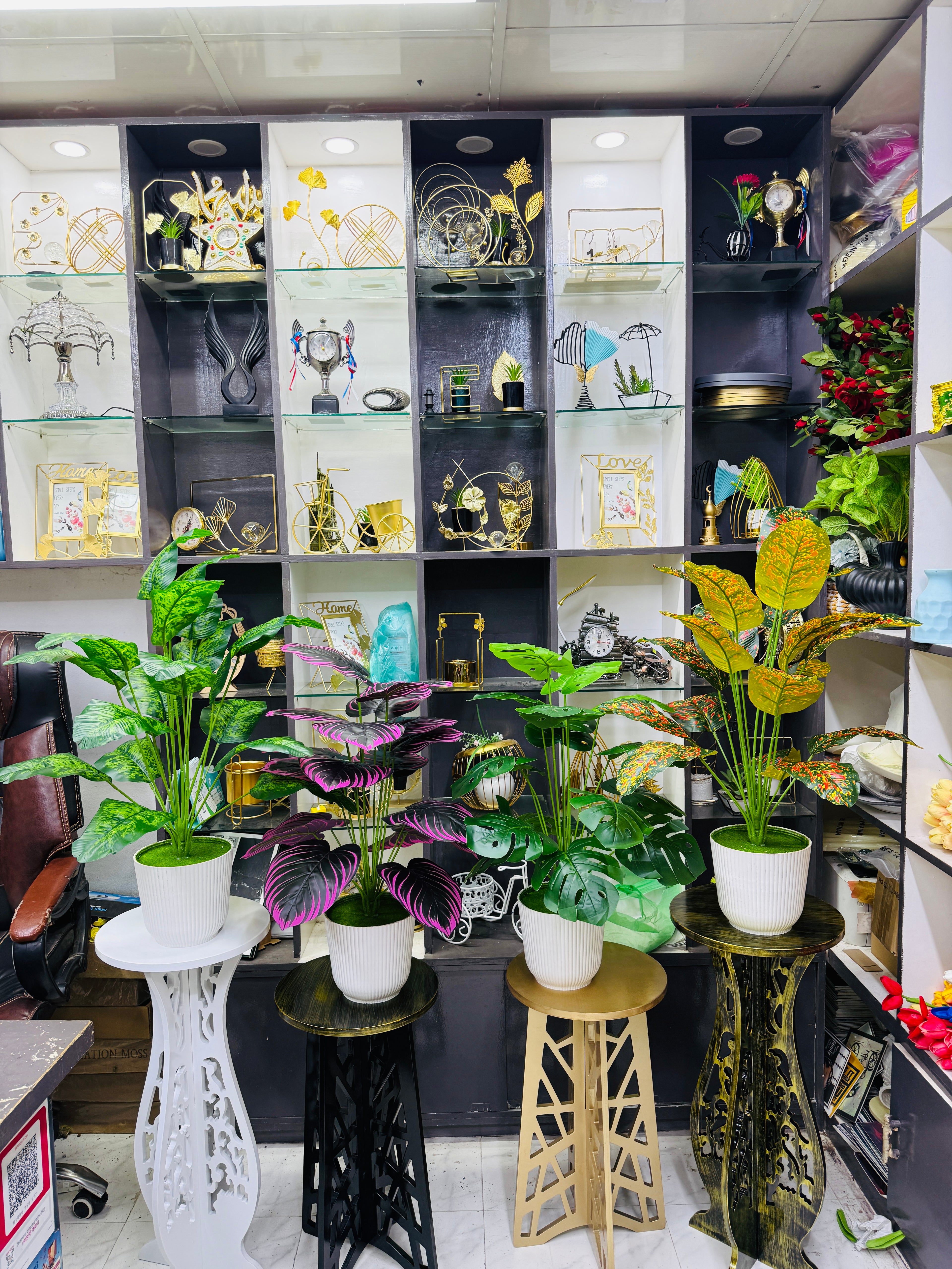4 plants comboo packge only 2499 tk 30"+