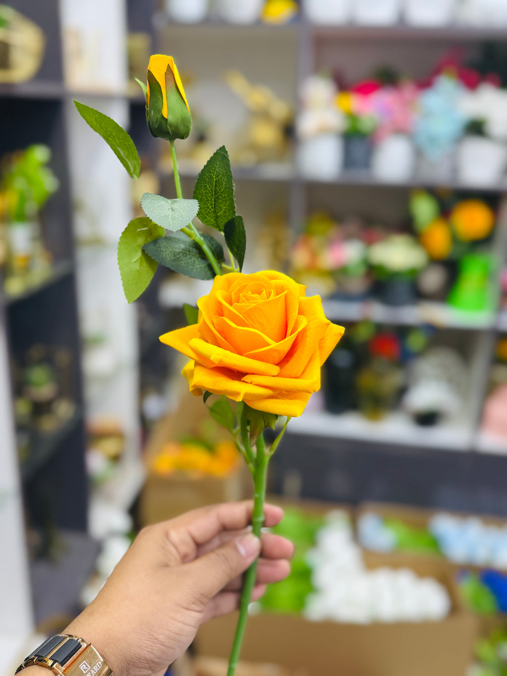 Rose vine premium quality chinese imported (10 pieces)