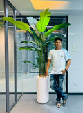 17 leavs chinese imported bird's of paradise with luxurious planter and stone 8 feet+