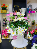 rubber orchid with luxurious planter