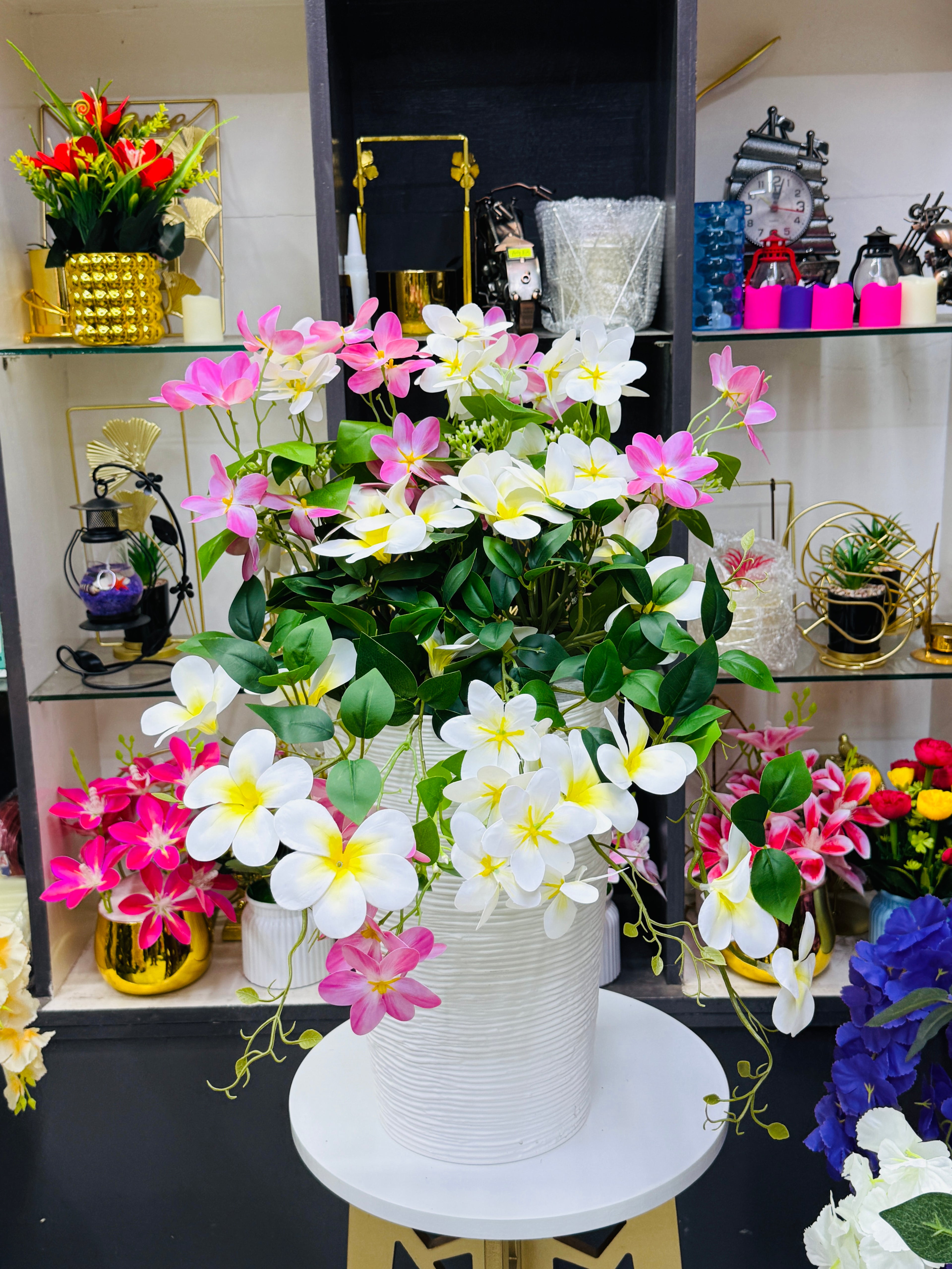 rubber orchid with luxurious planter