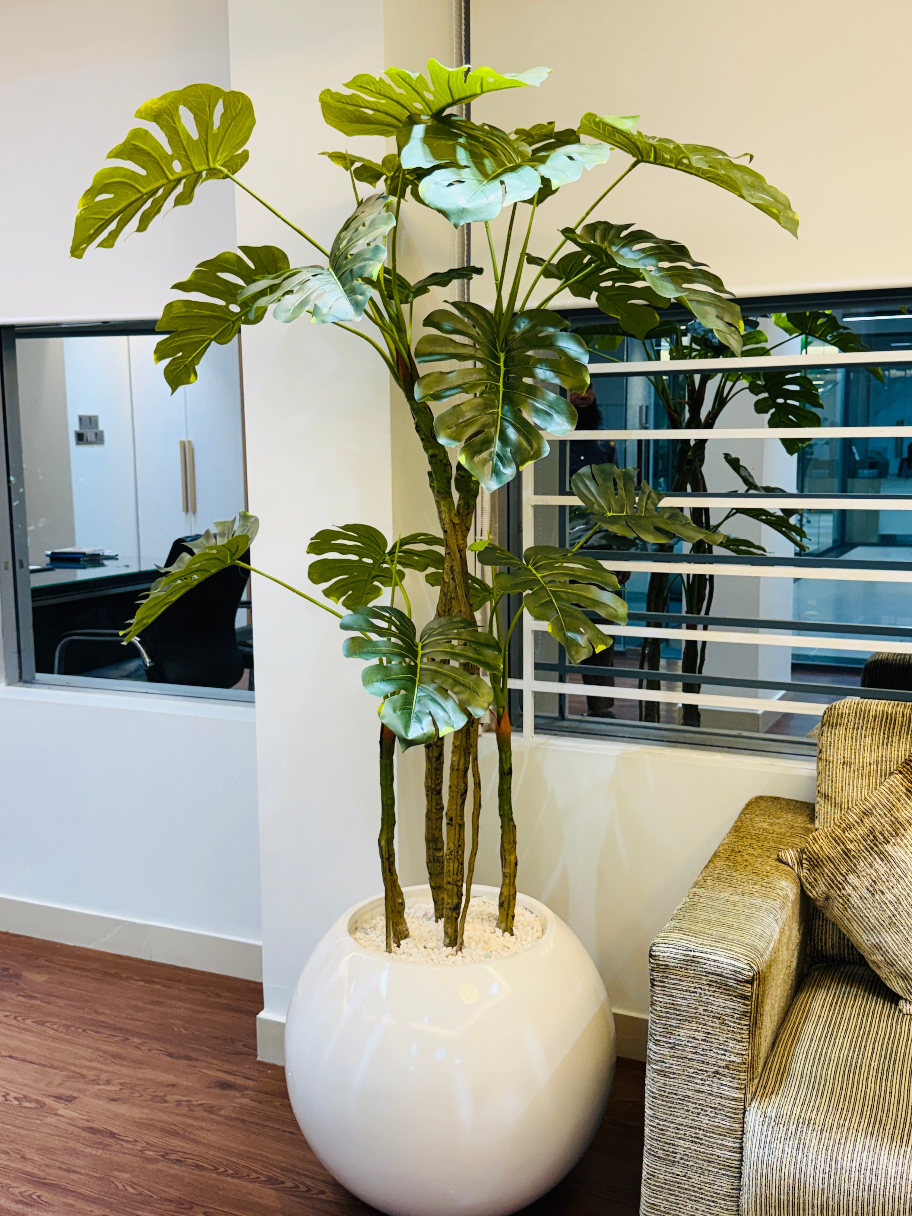 premium quality chinese imported artificial moonstera plant with lulxurious round planter and stone 6 feet+