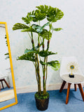 premium quality chinese imported artificial monstera tree with luxurious planter 5 feet+
