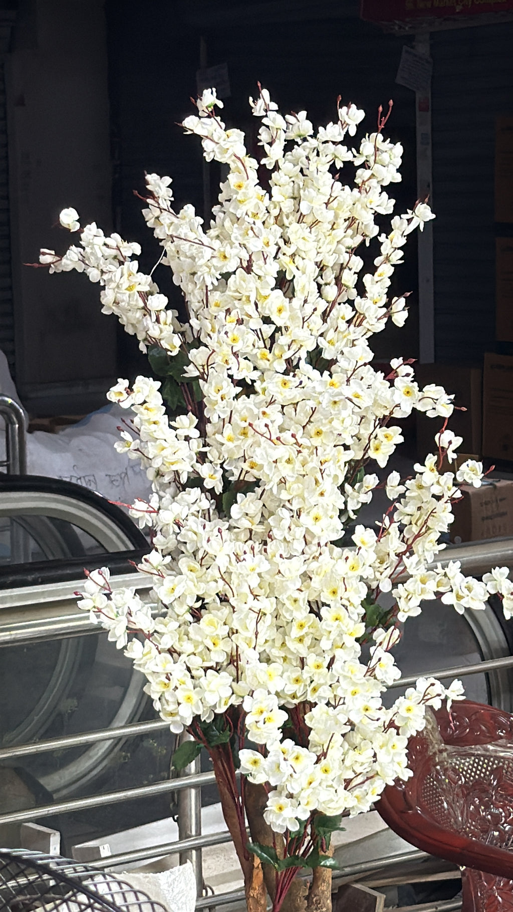 cherrry tree