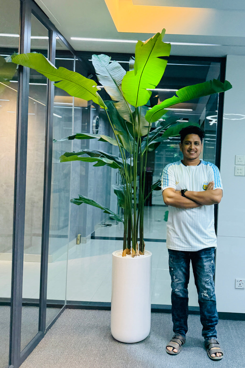 17 leavs chinese imported bird's of paradise with luxurious planter and stone 8 feet+