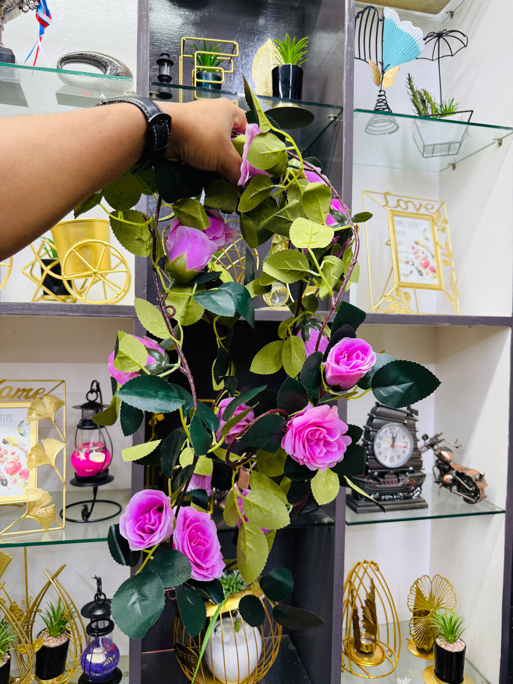 Rose vine 6 feet+