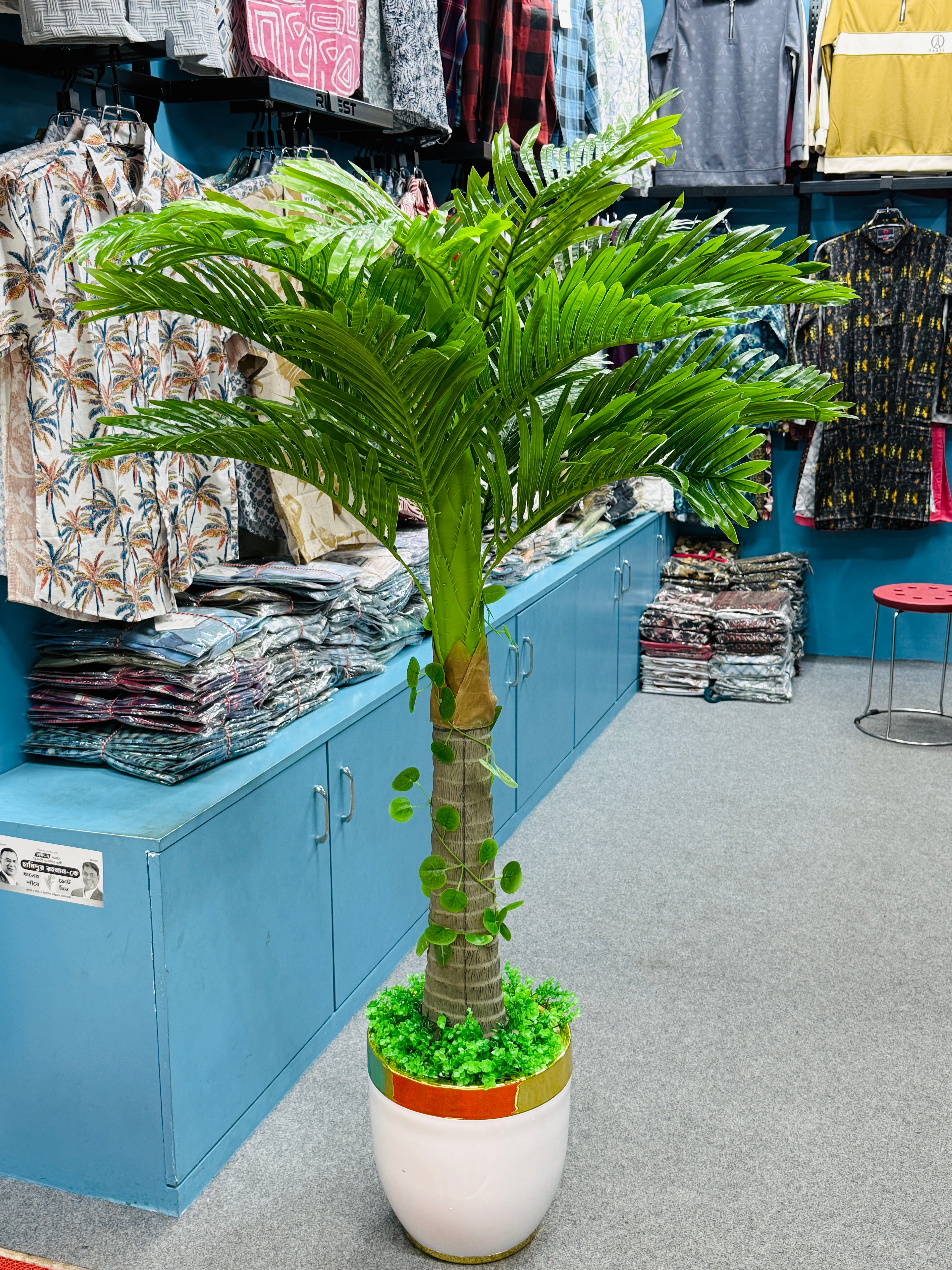 Premium Quality chinese imported Plum plants with luxurious chinese imported planter and grass.