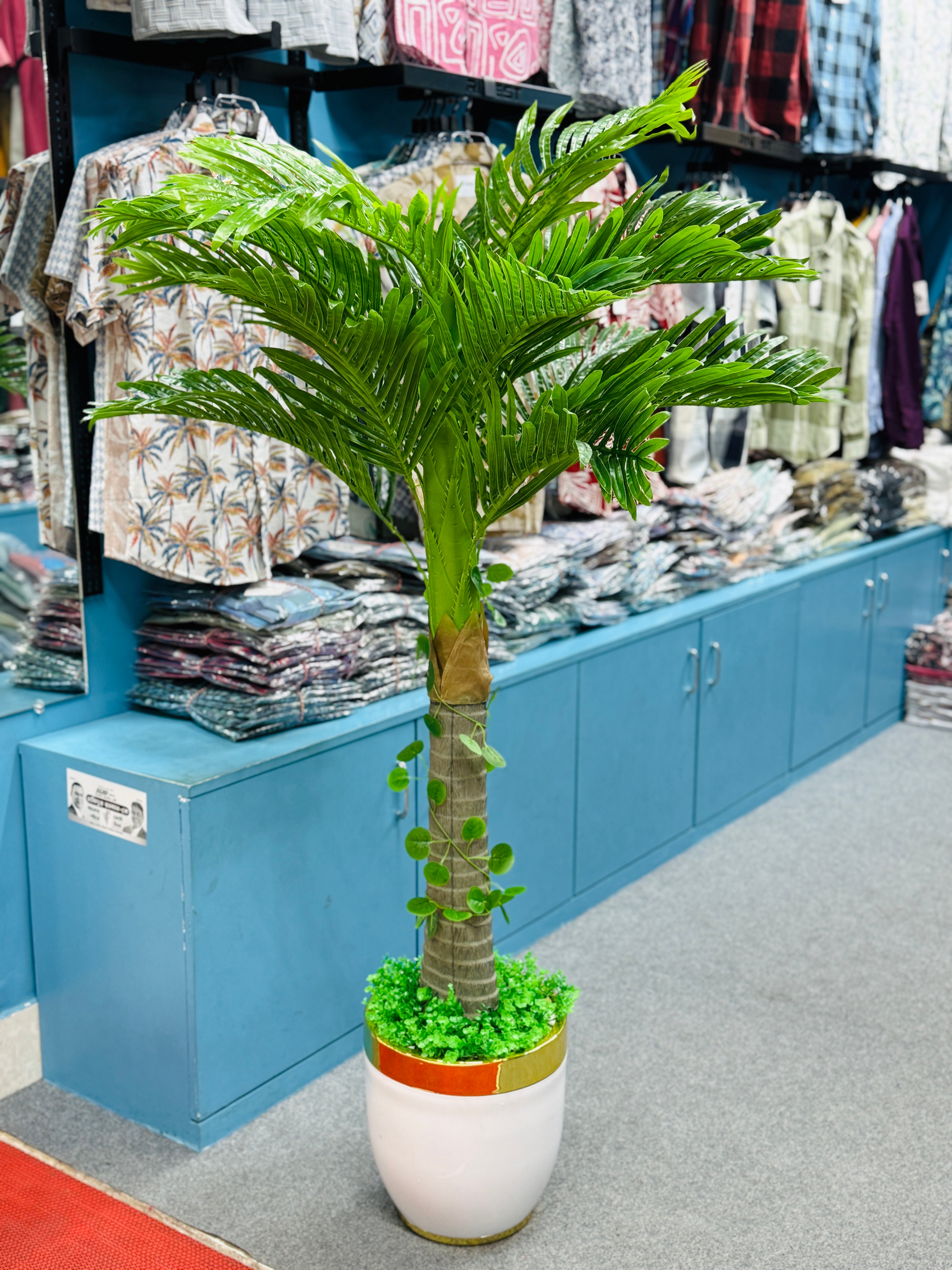 Premium Quality chinese imported Plum plants with luxurious chinese imported planter and grass.