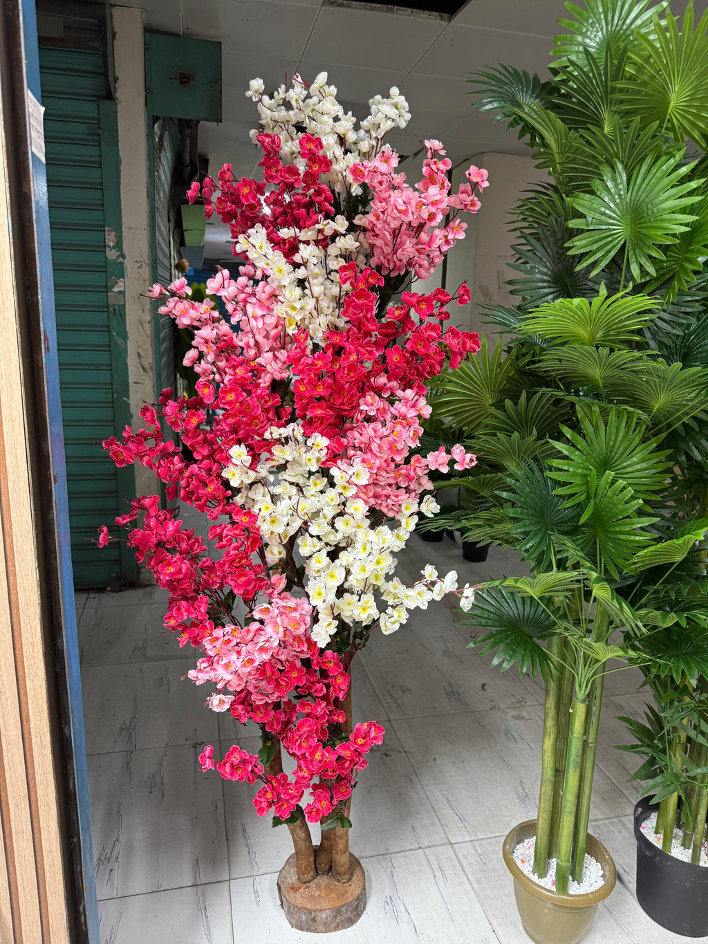cherrry tree