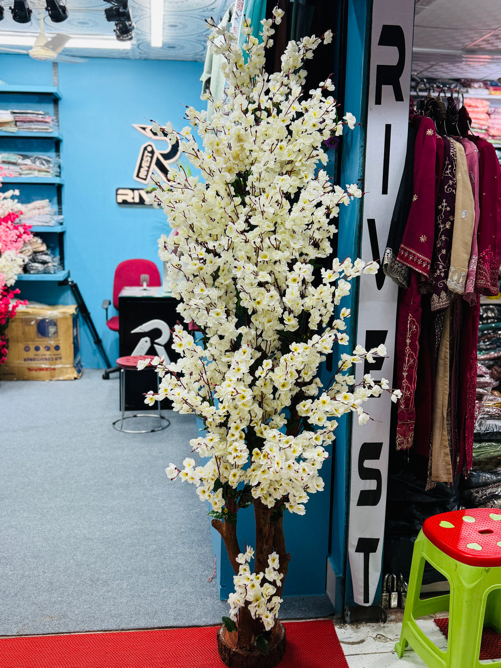 cherrry tree