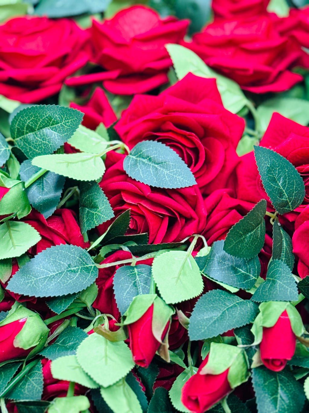 Rose vine premium quality chinese imported (10 pieces)