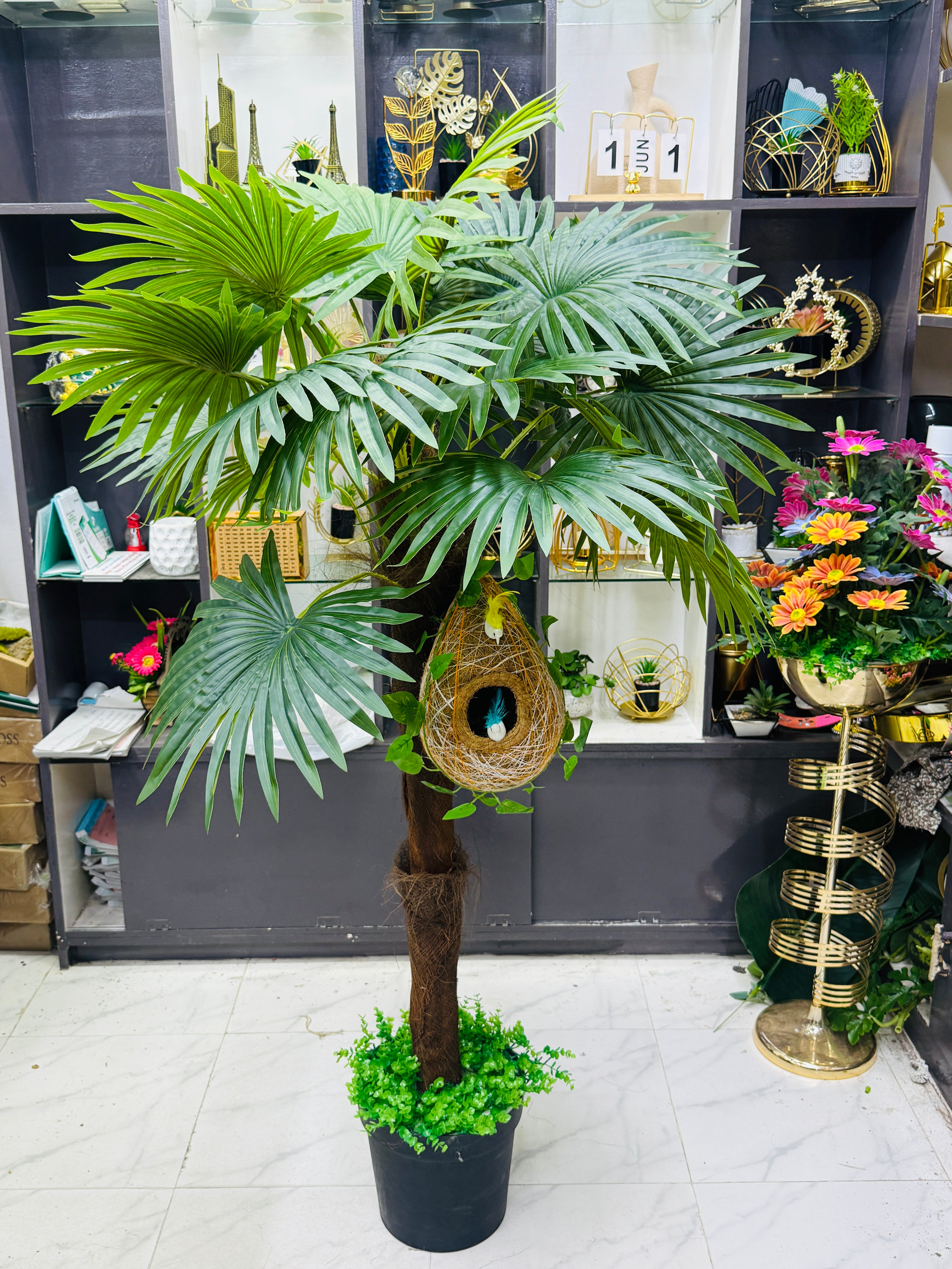 Chinese imported Tal tree with babui pakhir basa setup 5 feet+