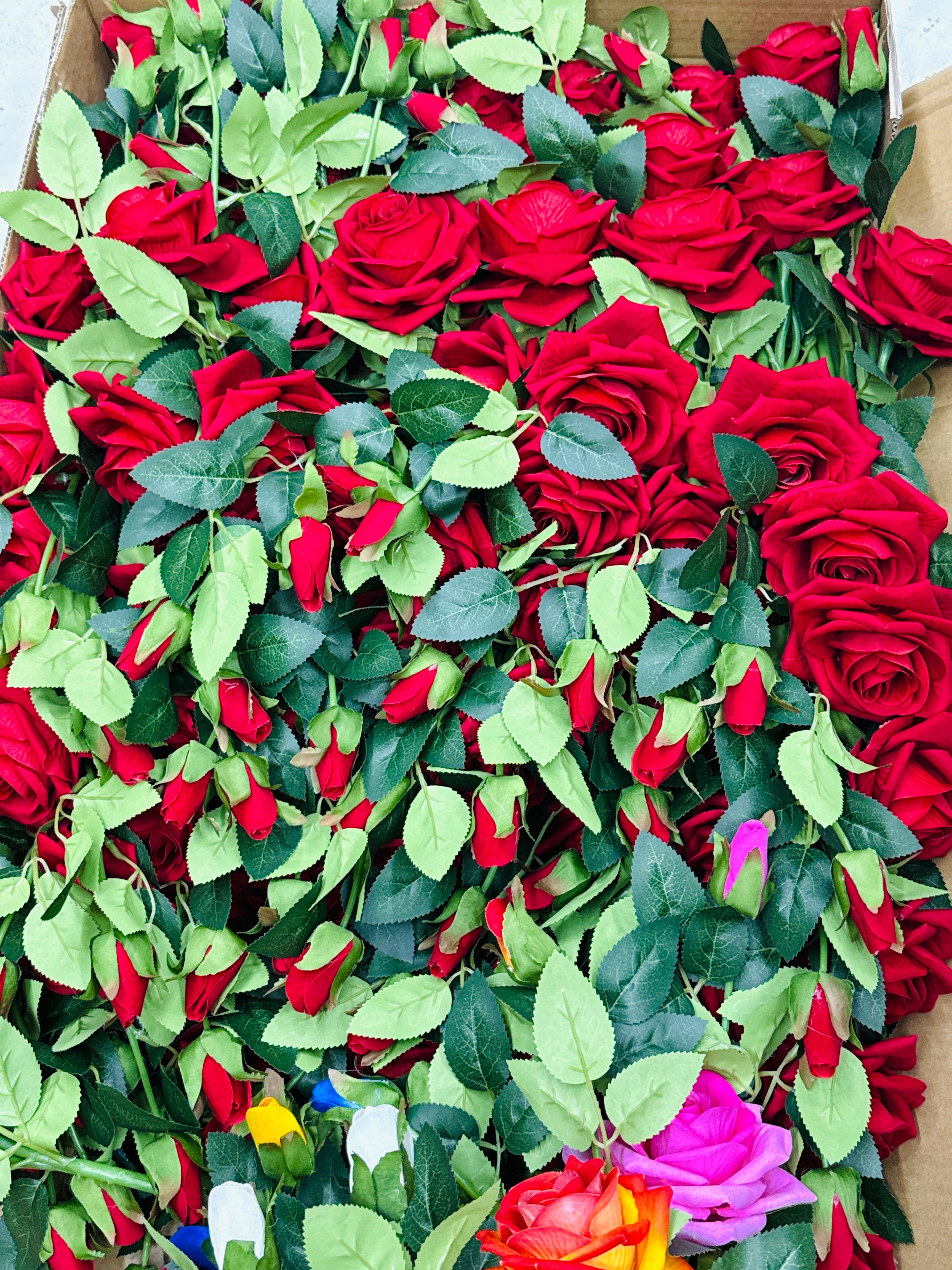 Rose vine premium quality chinese imported (10 pieces)
