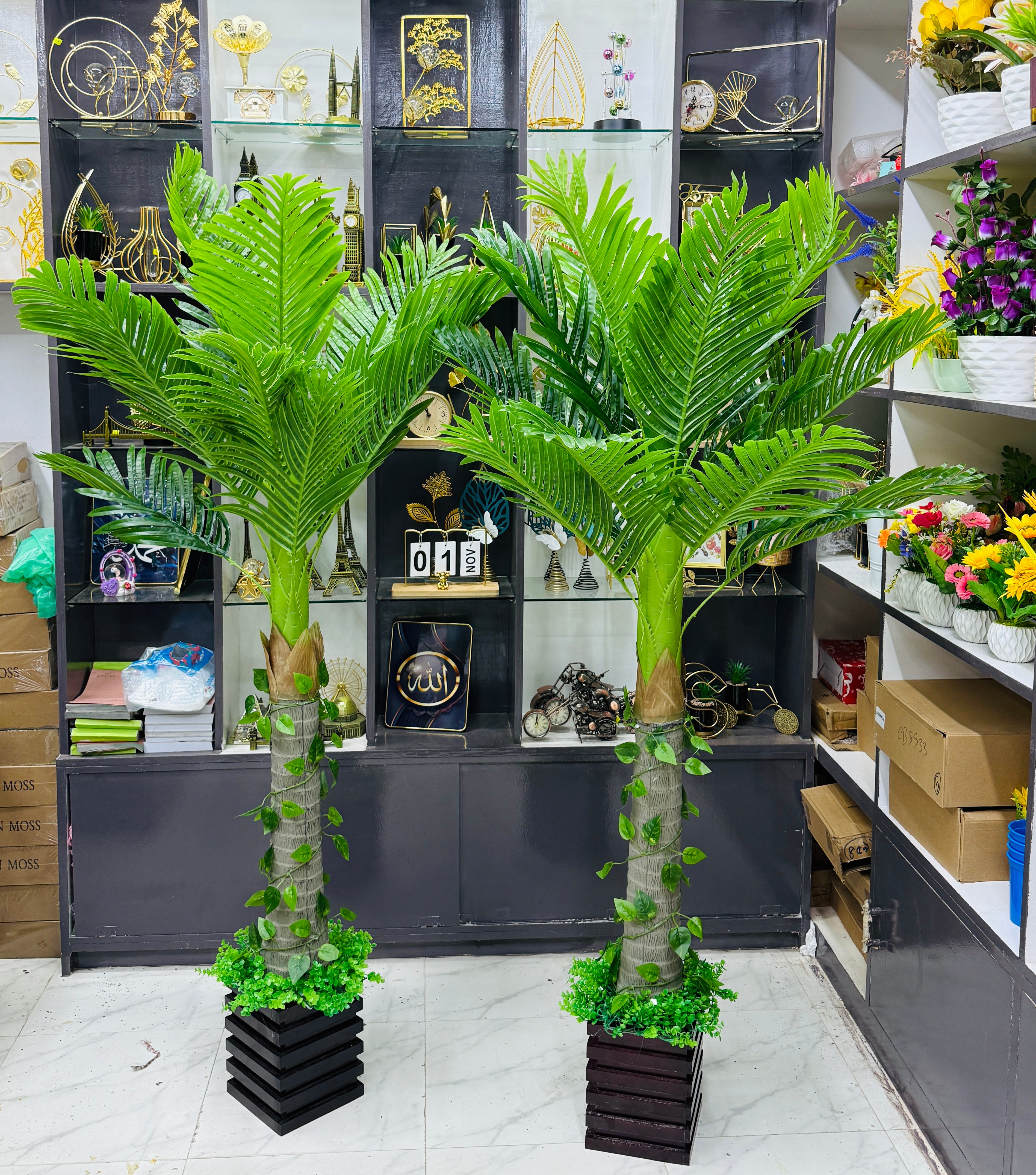 Premium Quality chinese imported supari plants with luxurious chinese imported planter and grass 5 feet +