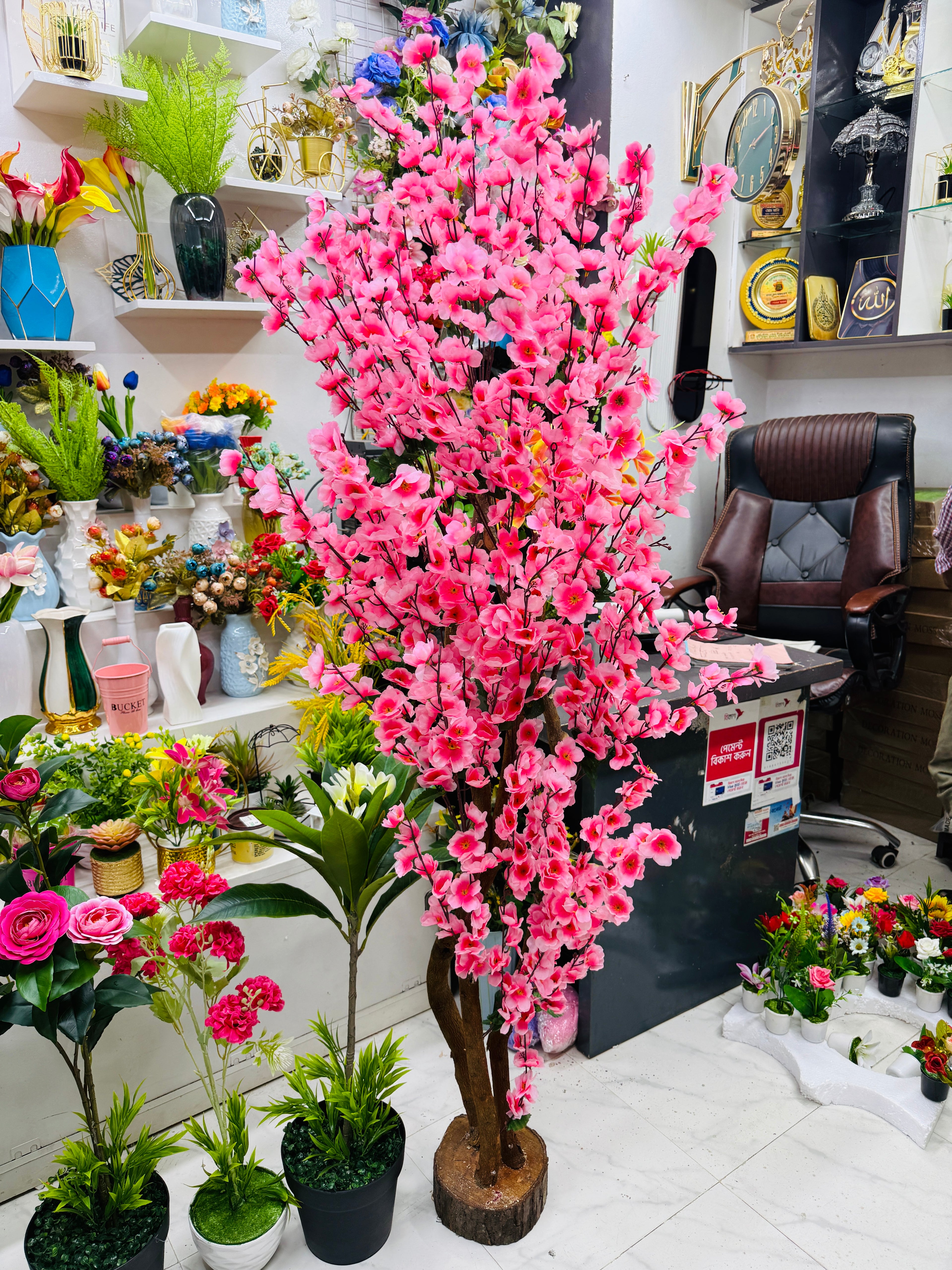 cherrry tree