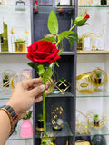 Rose vine premium quality chinese imported (10 pieces)