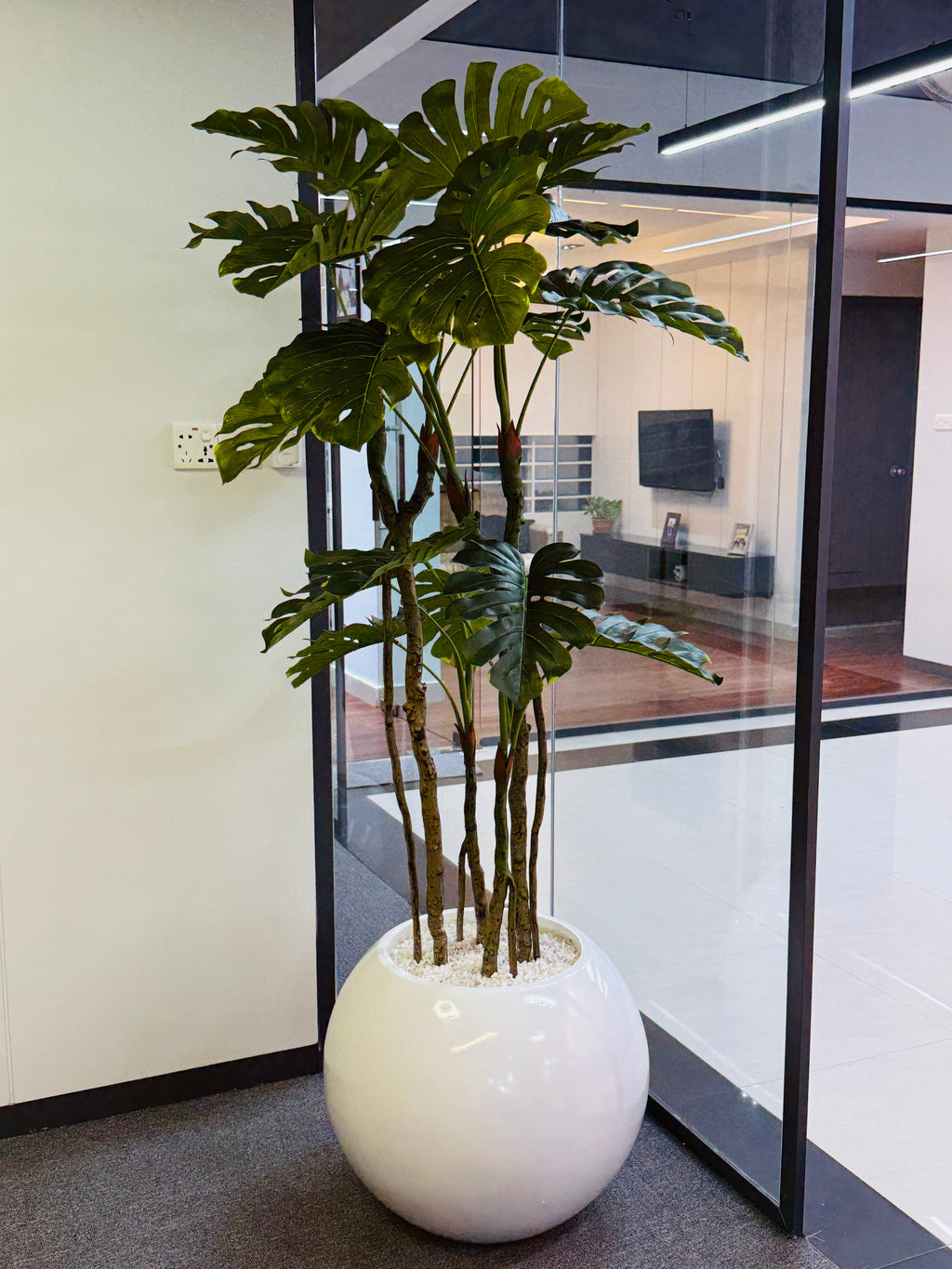 premium quality chinese imported artificial moonstera plant with lulxurious round planter and stone 6 feet+