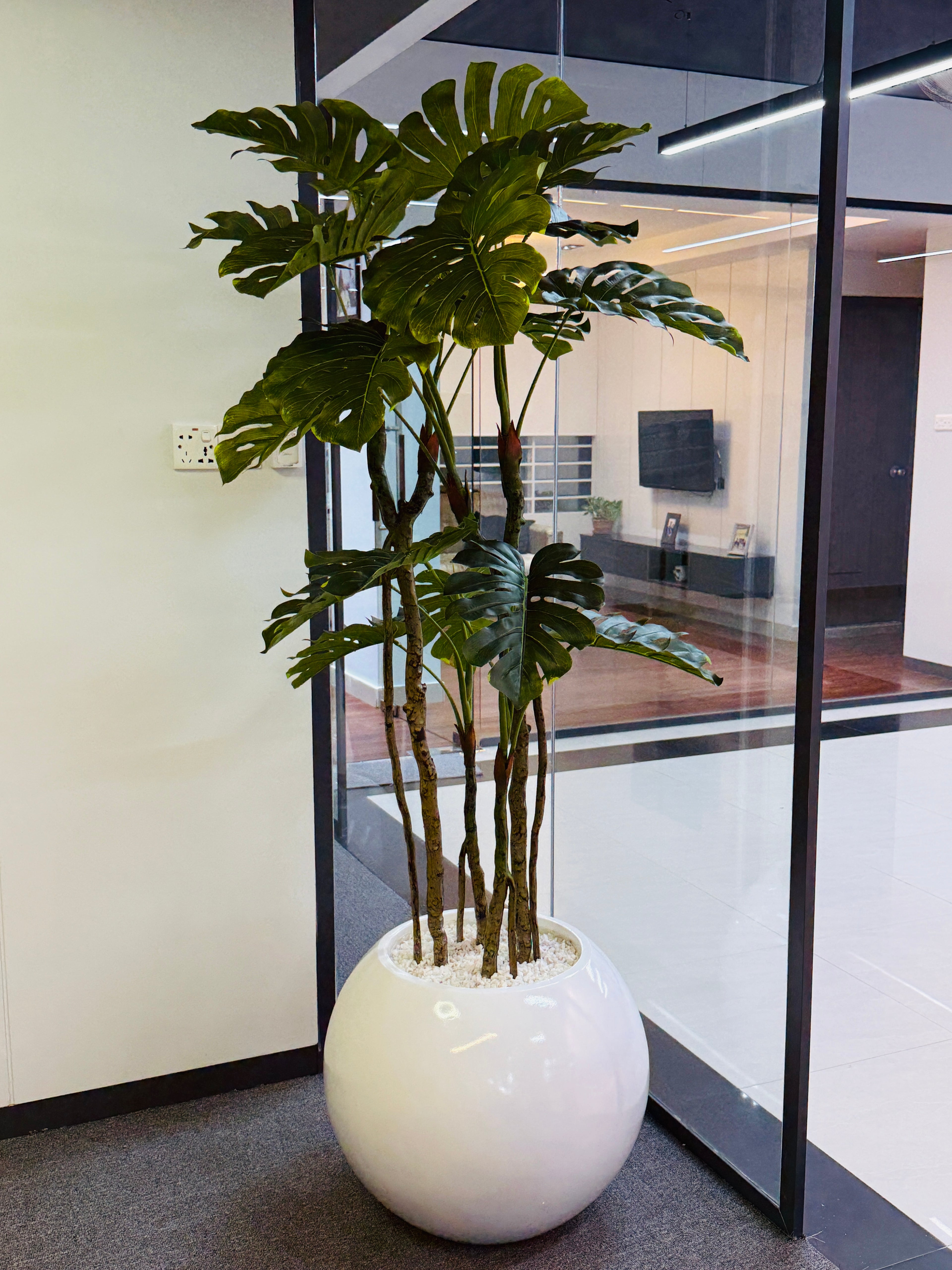 premium quality chinese imported artificial moonstera plant with lulxurious round planter and stone 6 feet+