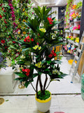 Chinese imported Kath golap tree with luxurious planter 12 sticks kathgolap 6 feet+