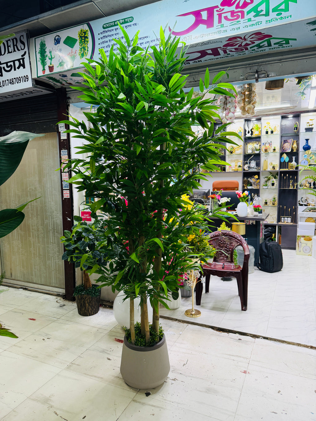 chinese imported bamboo tree 6 feet+with chinese planter