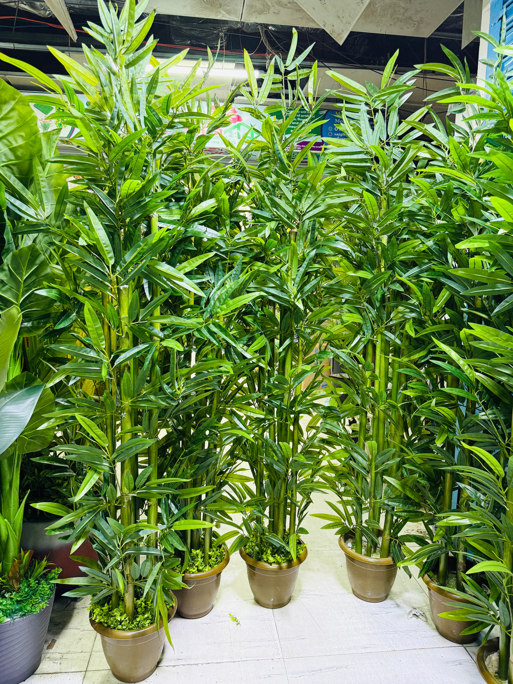 Chinese imported artificial rubber leaves bamboo tree 6 Feet+