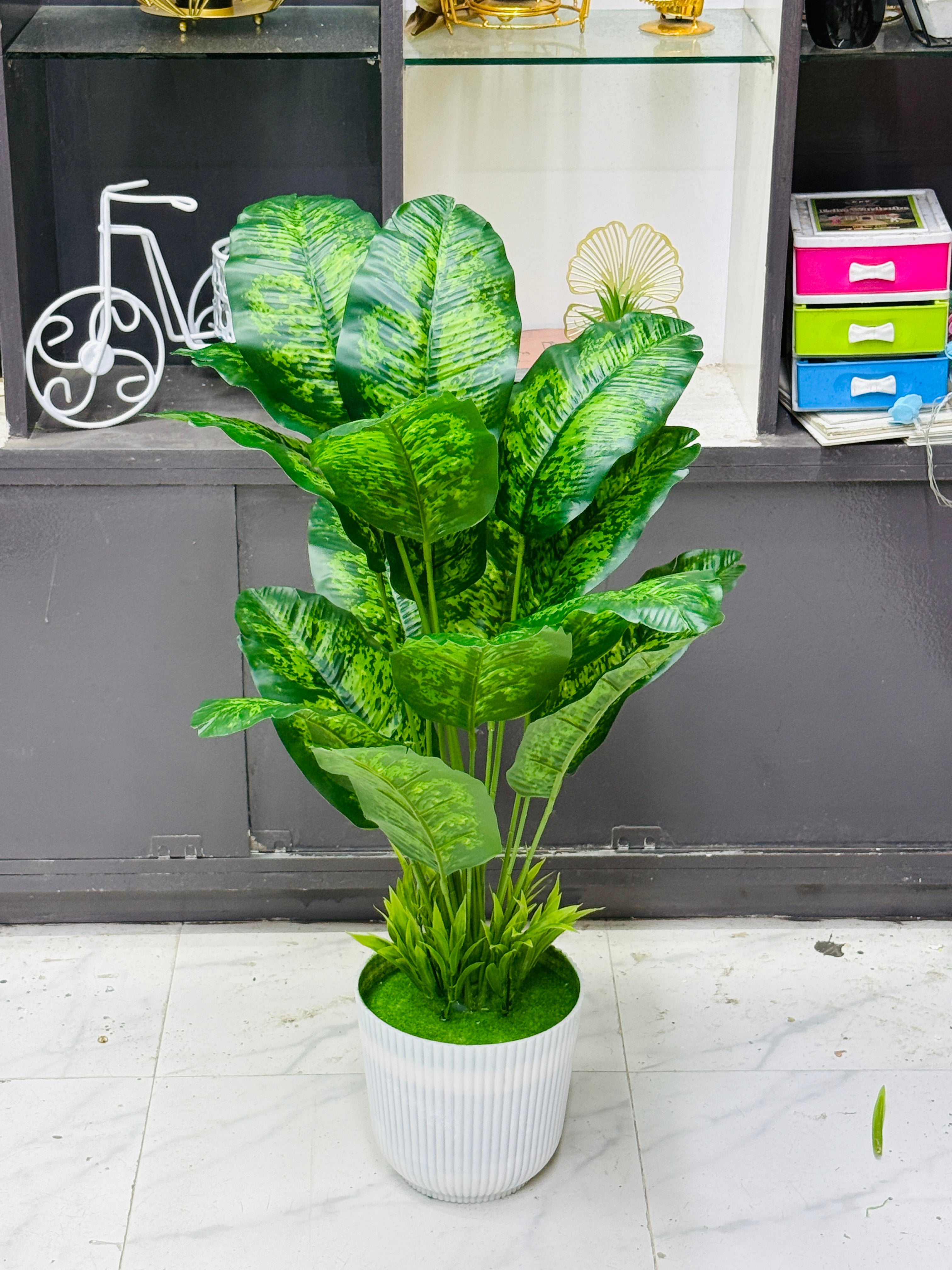 4 plants comboo packge only 2499 tk 30"+