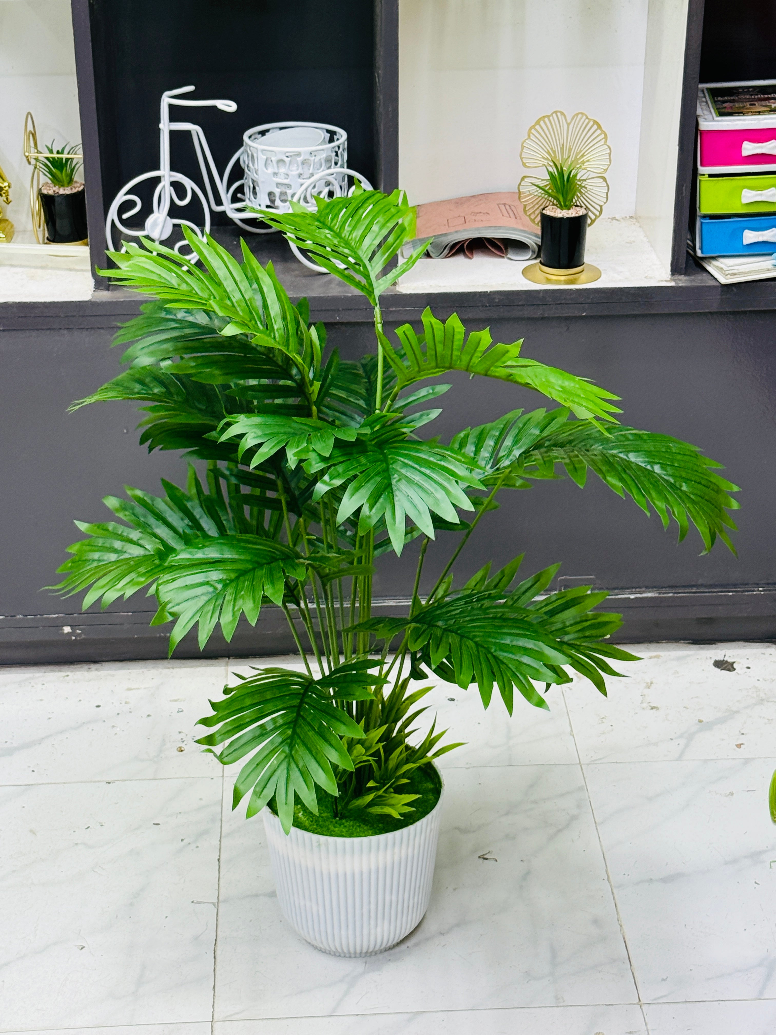 4 plants comboo packge only 2499 tk 30"+